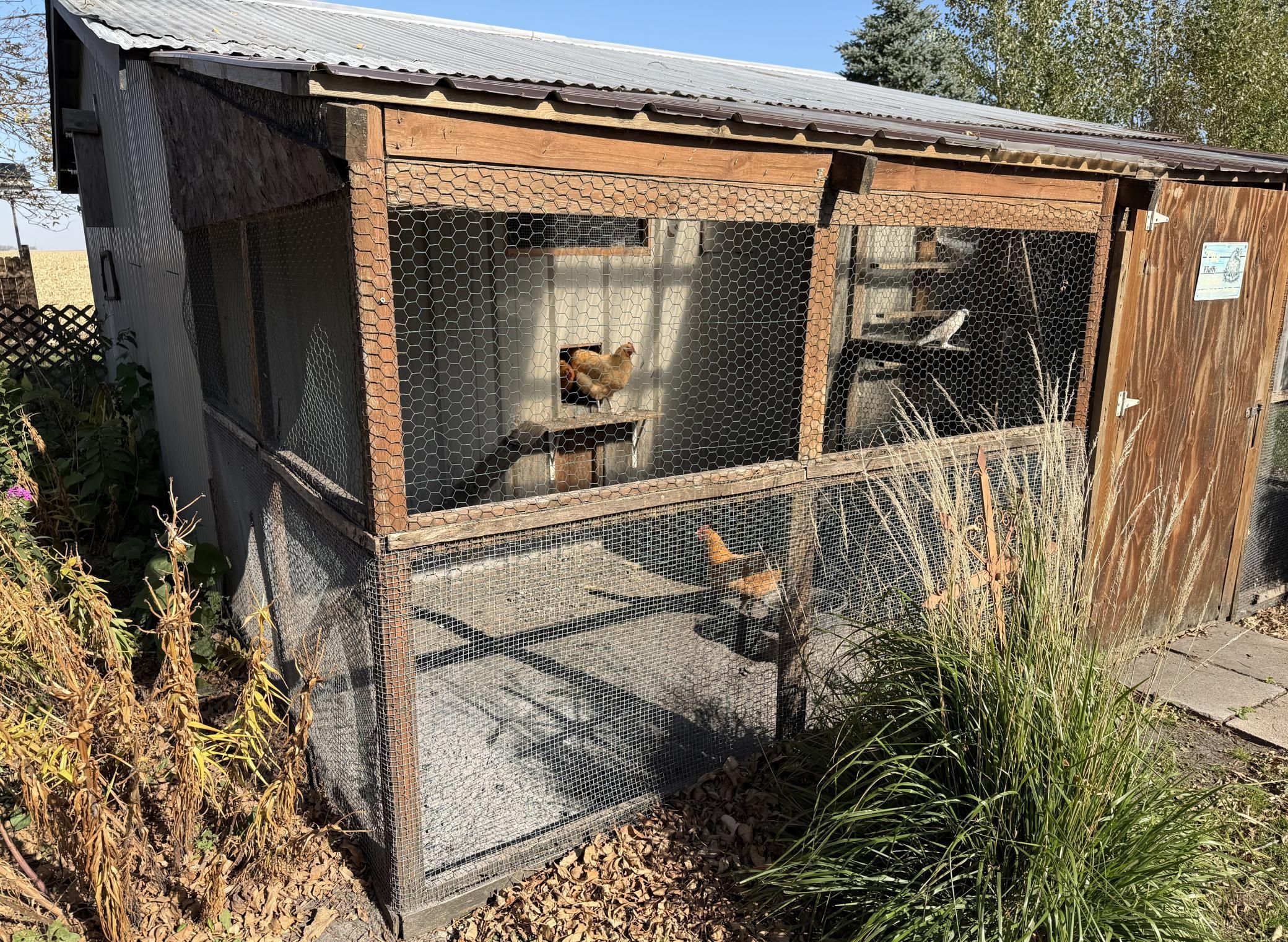 main property photo 38