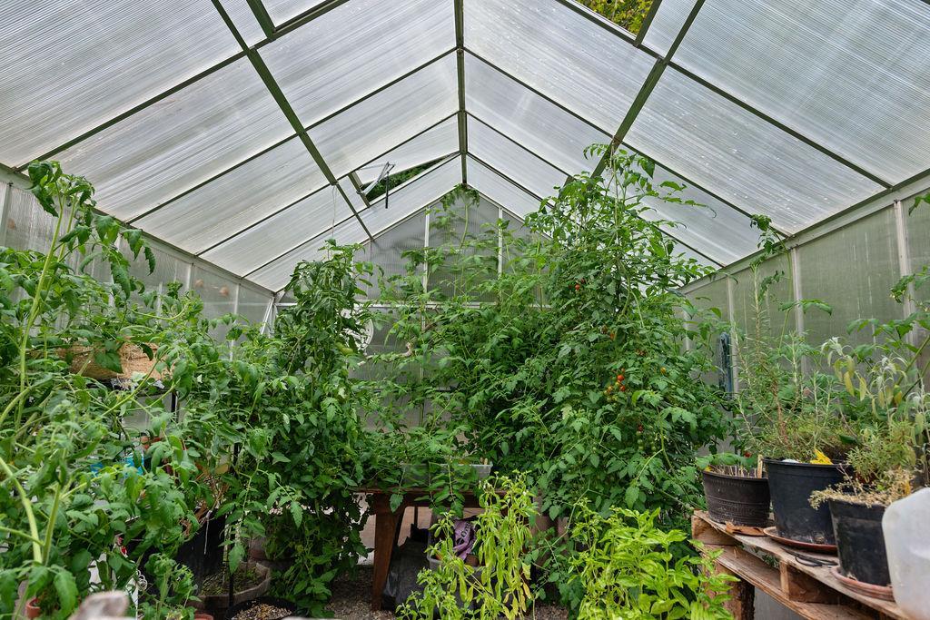 main property photo 57