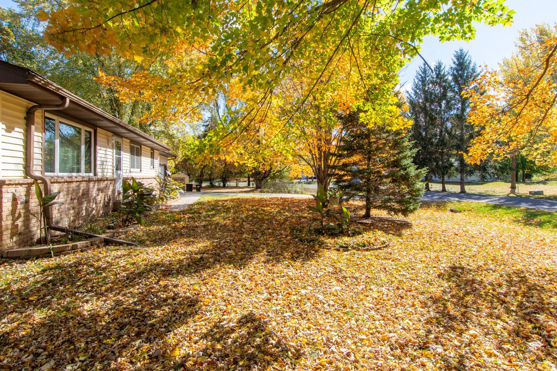 main property photo 51