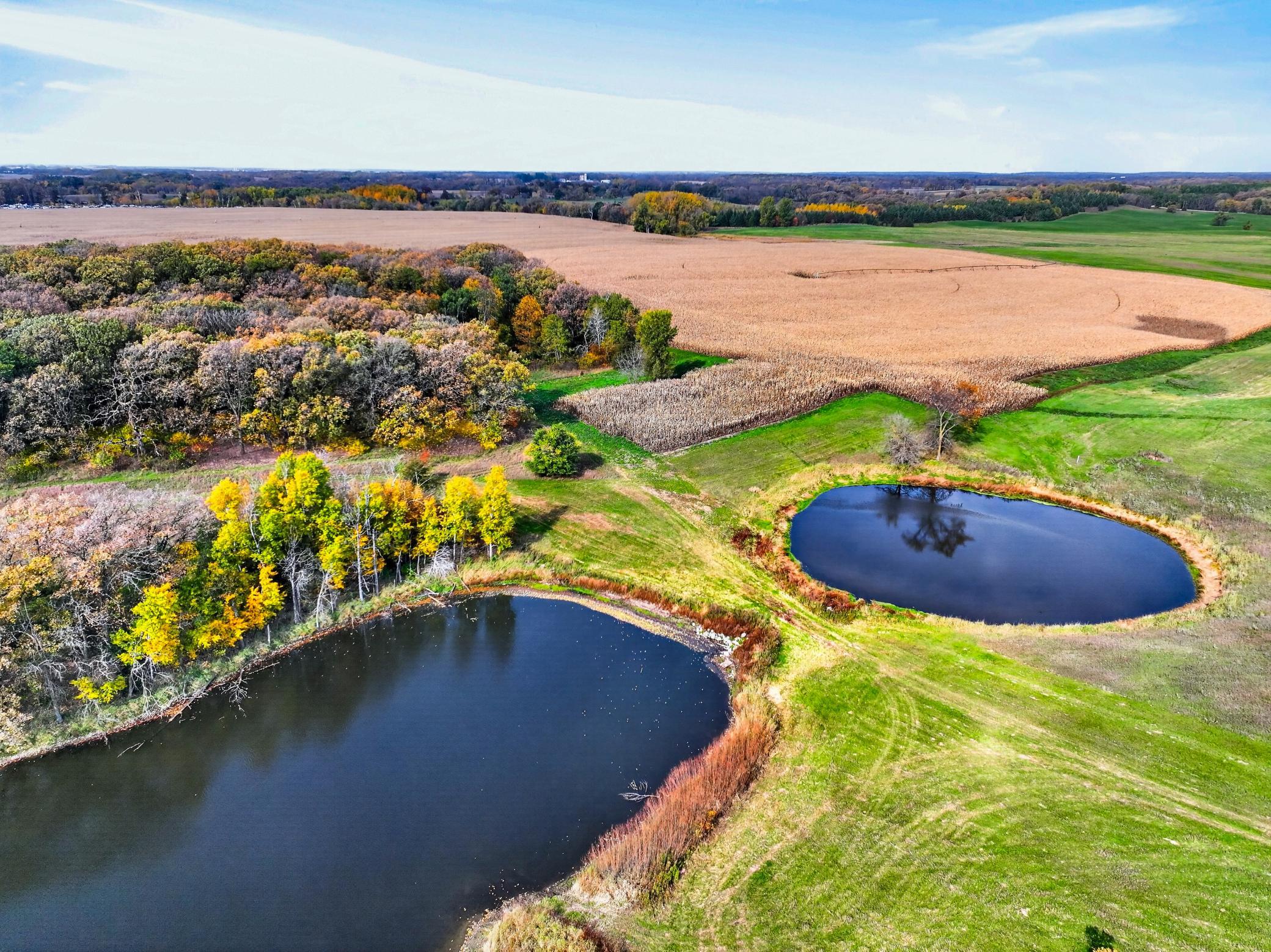 main property photo 101