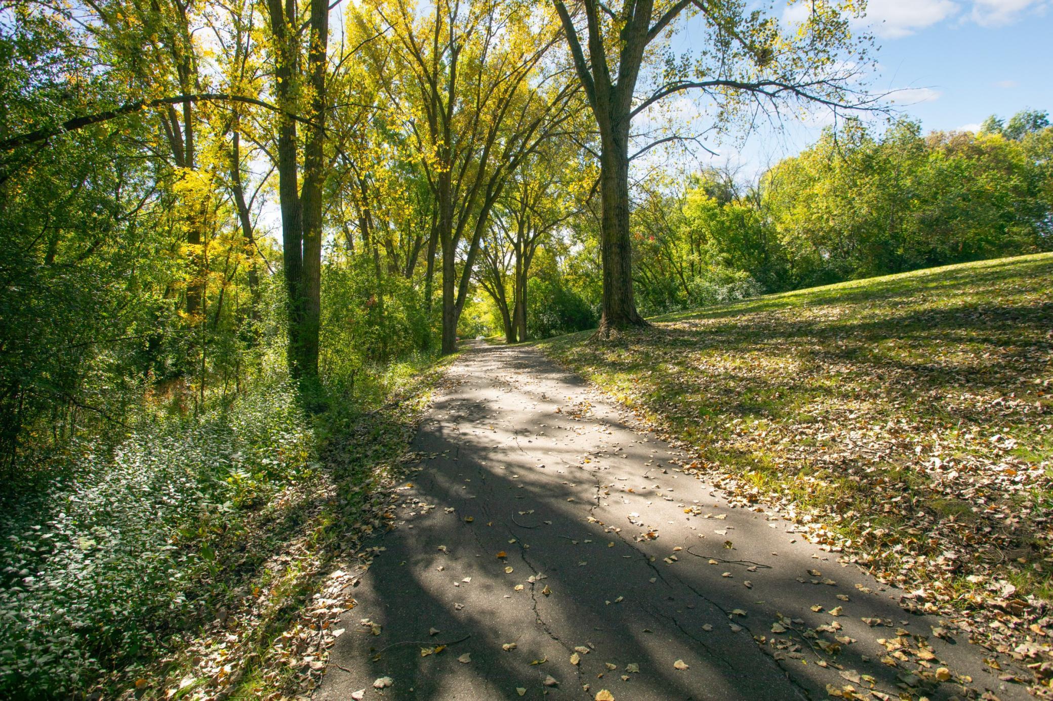 main property photo 42