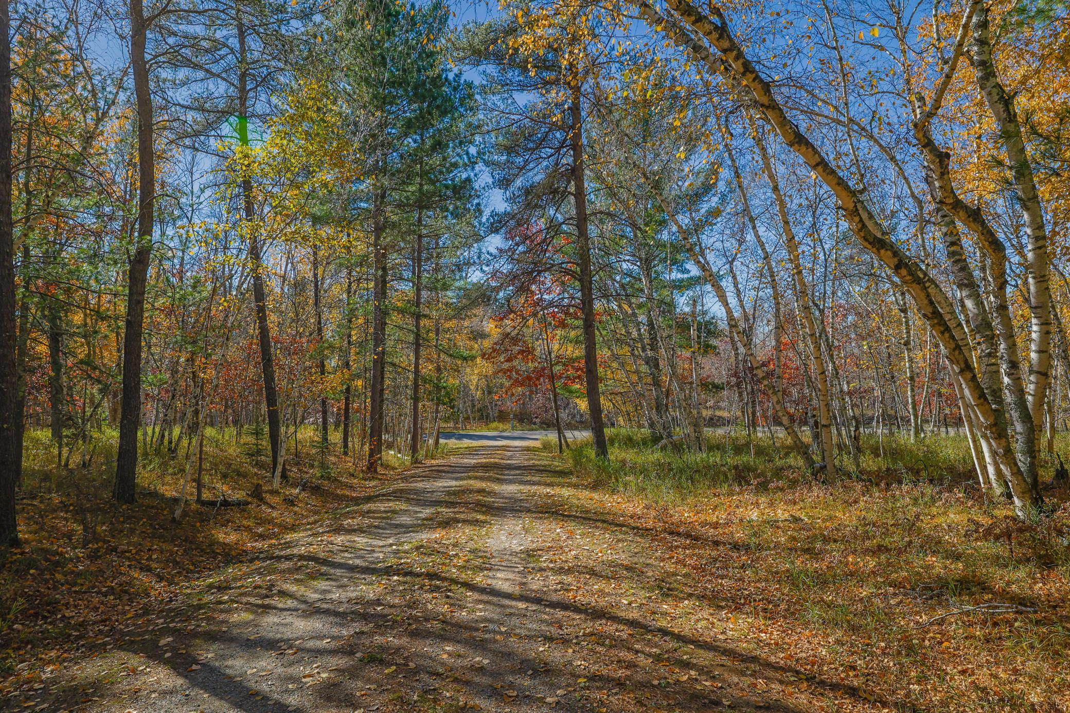 main property photo 82