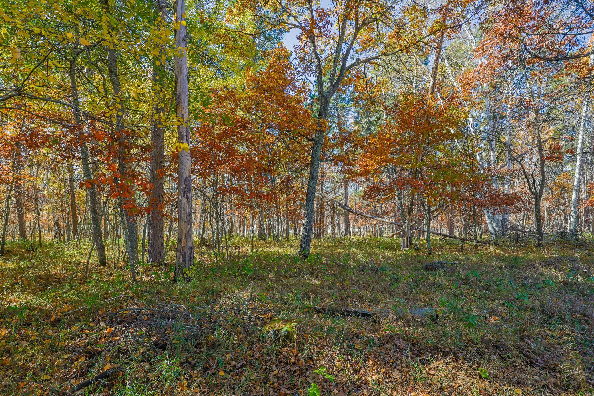 main property photo 83