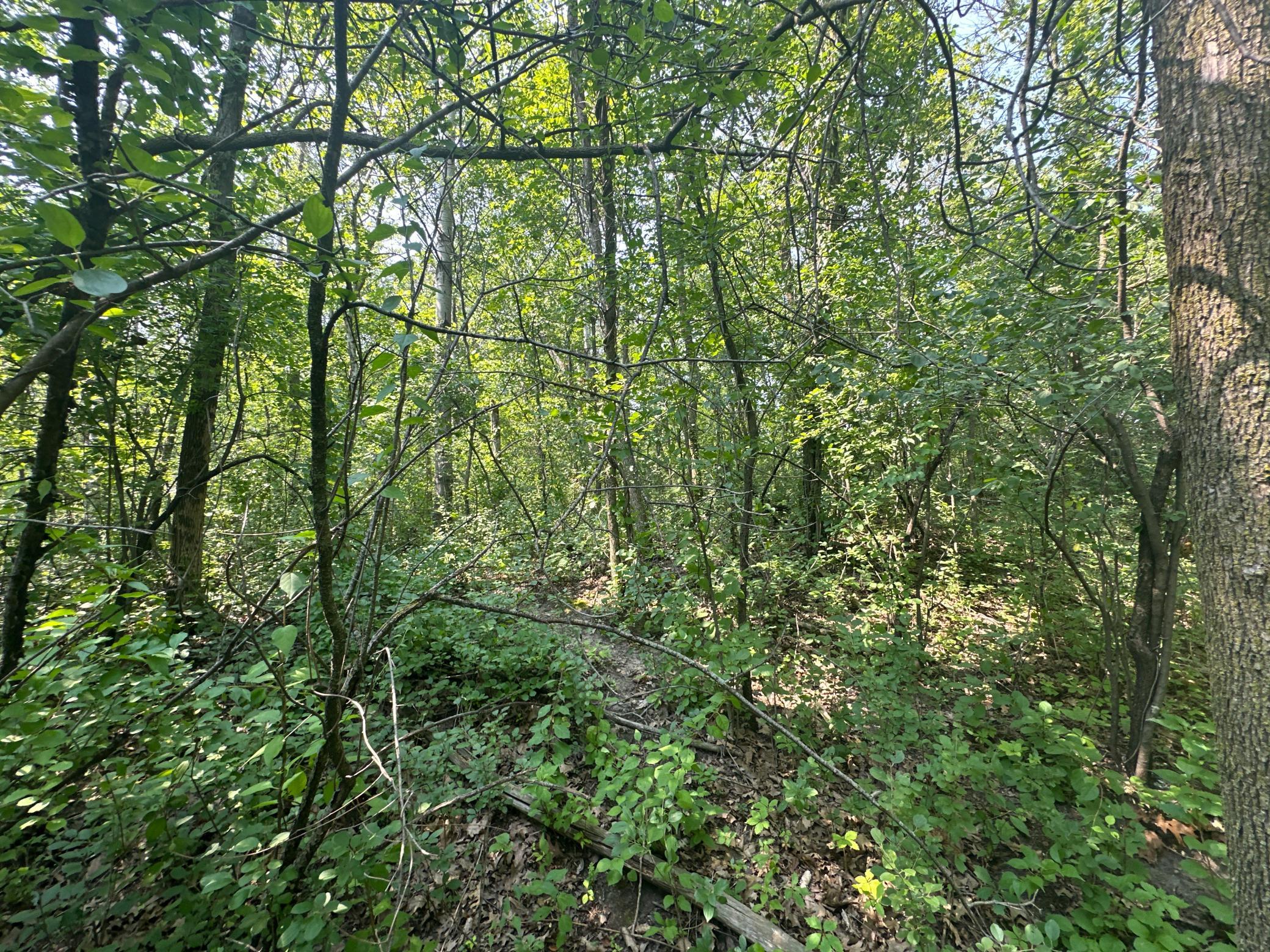 main property photo 25