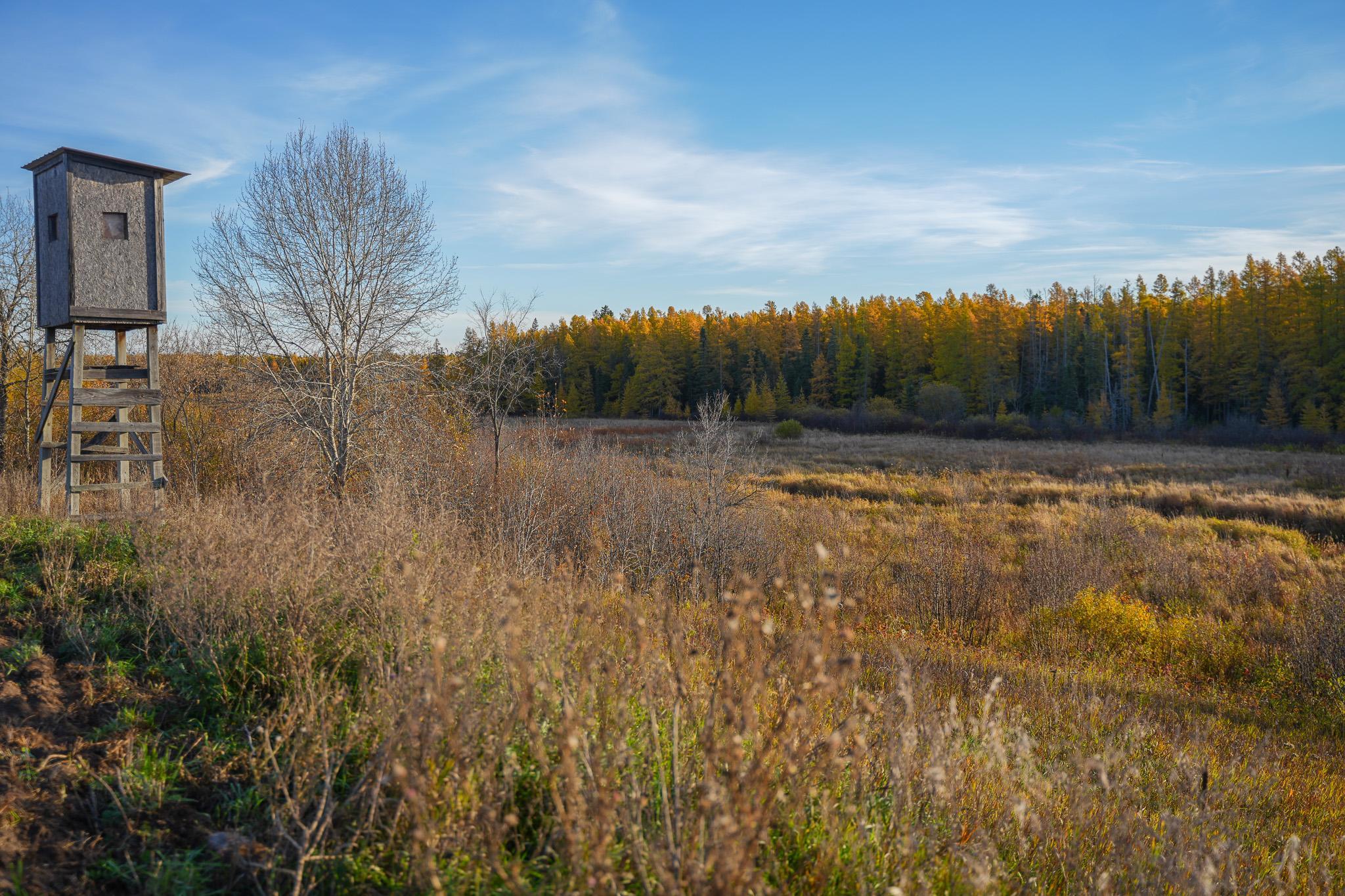 main property photo 42