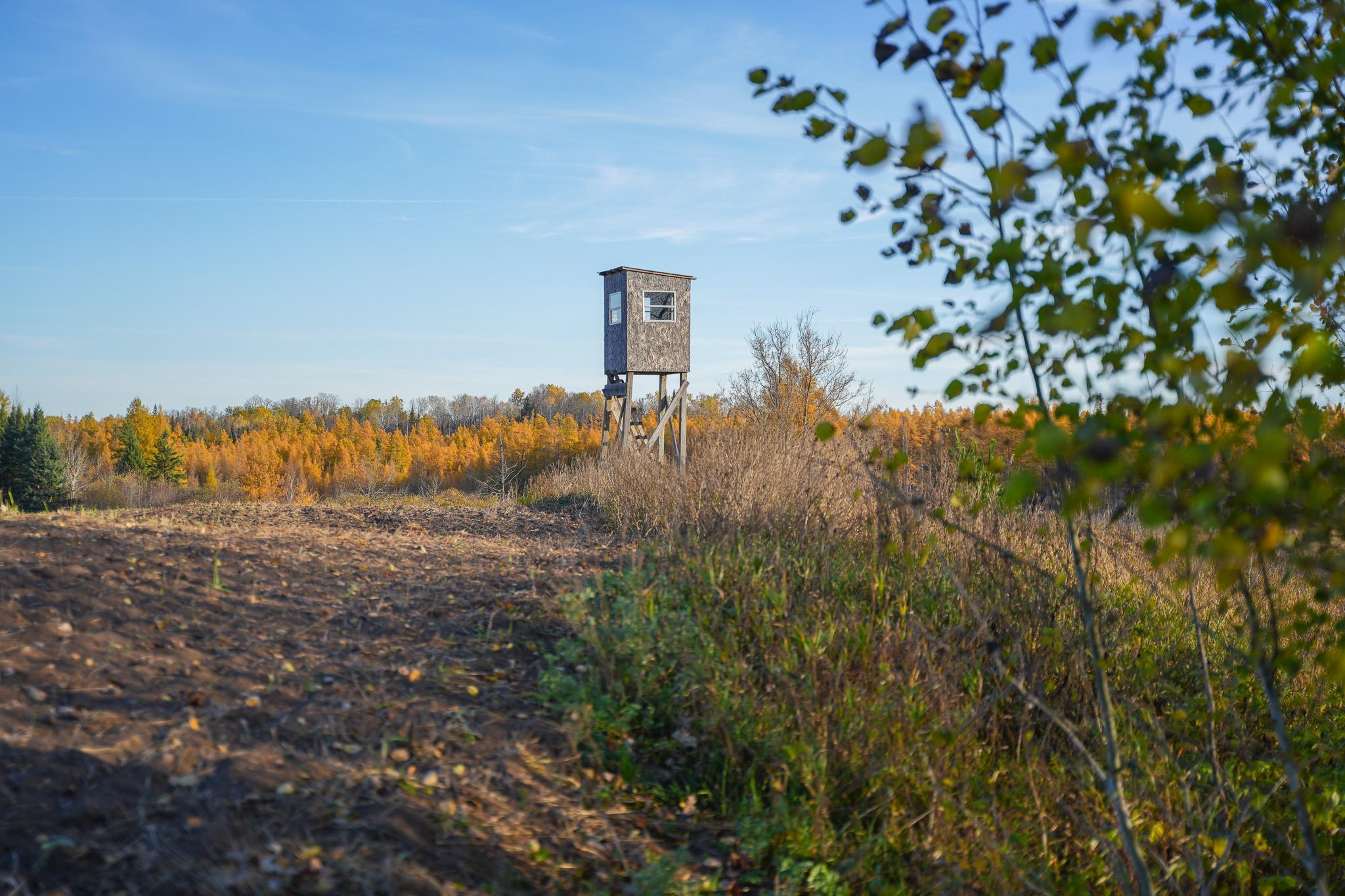 main property photo 46