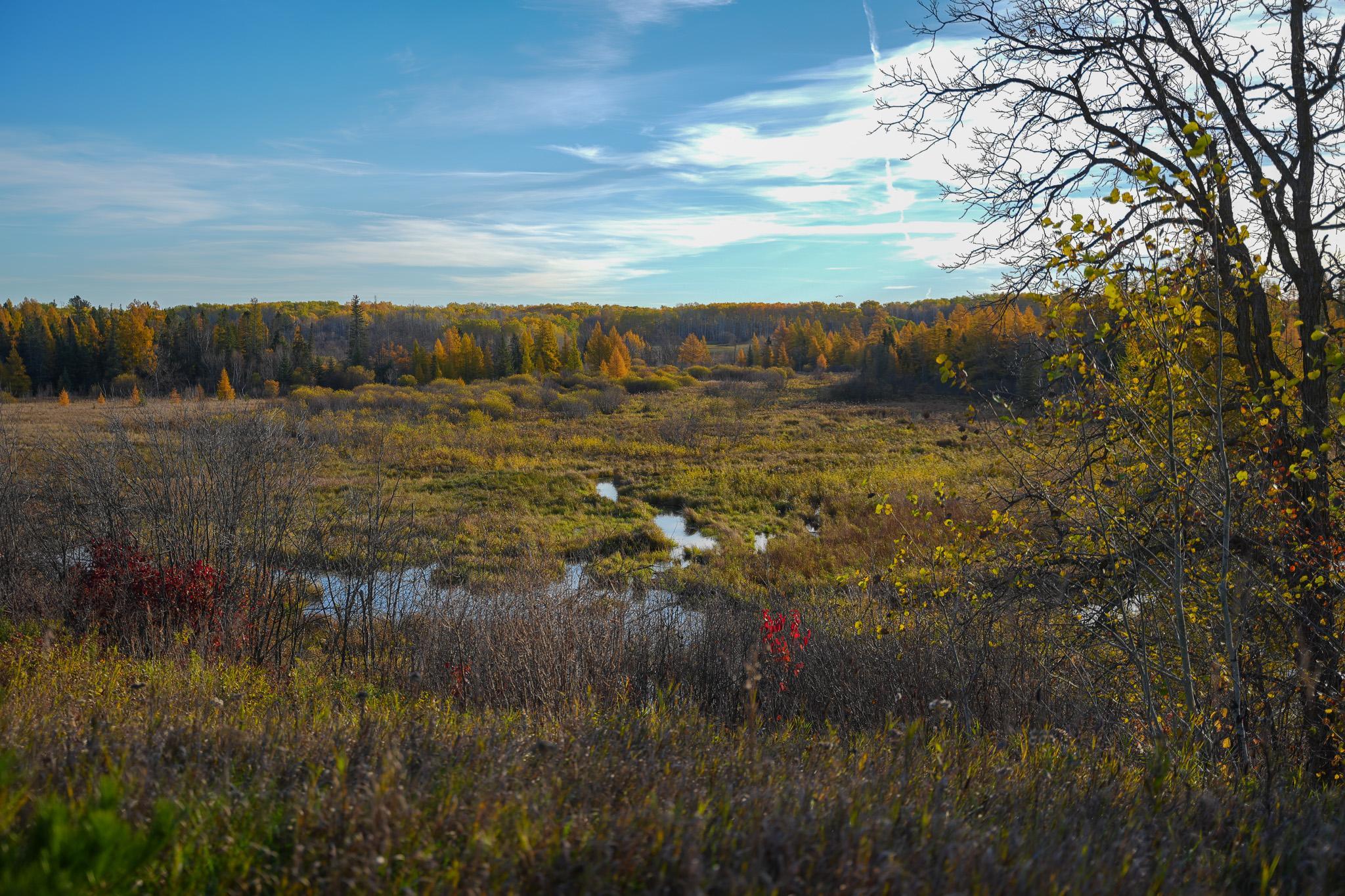 main property photo 50