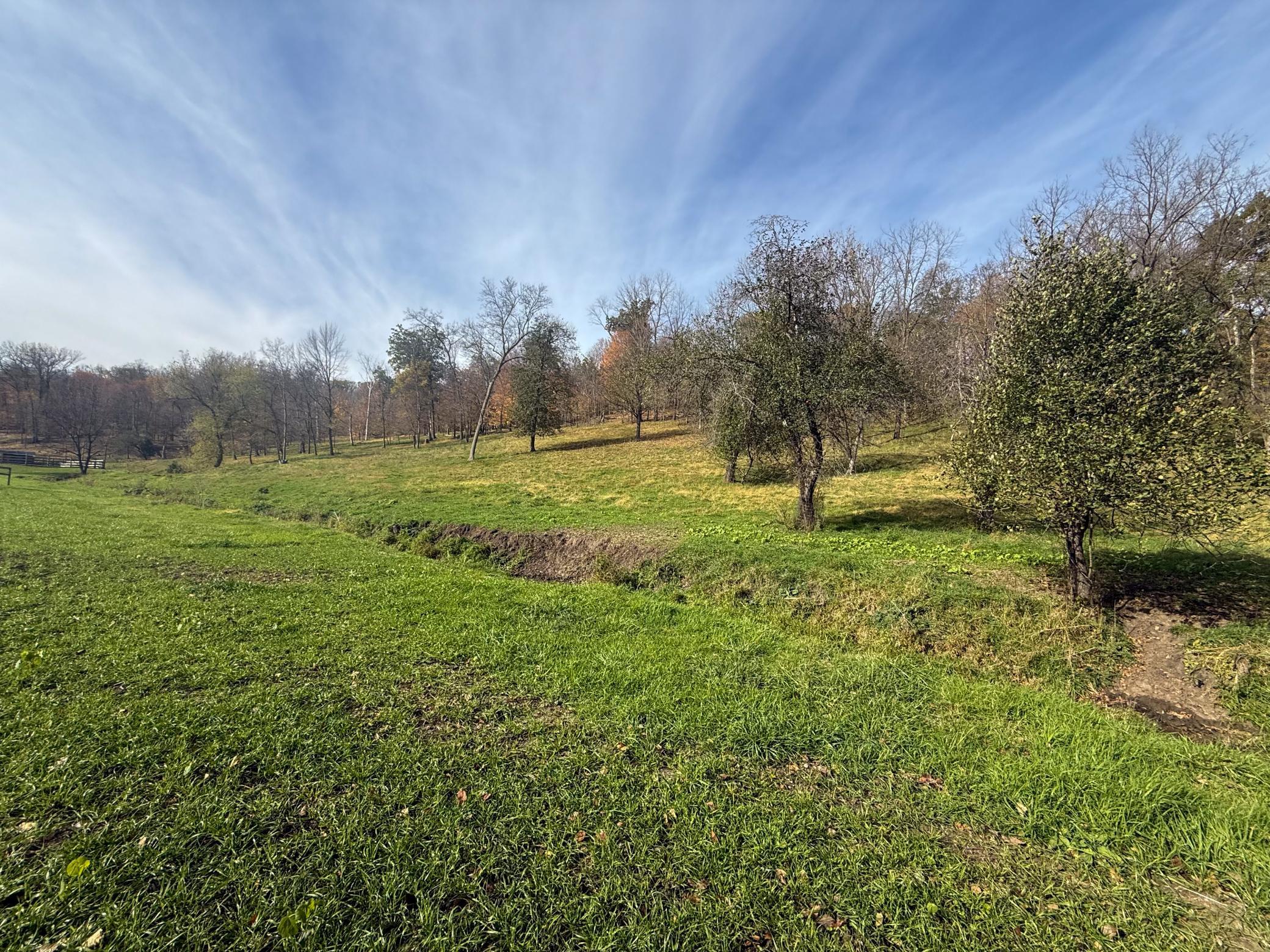main property photo 66