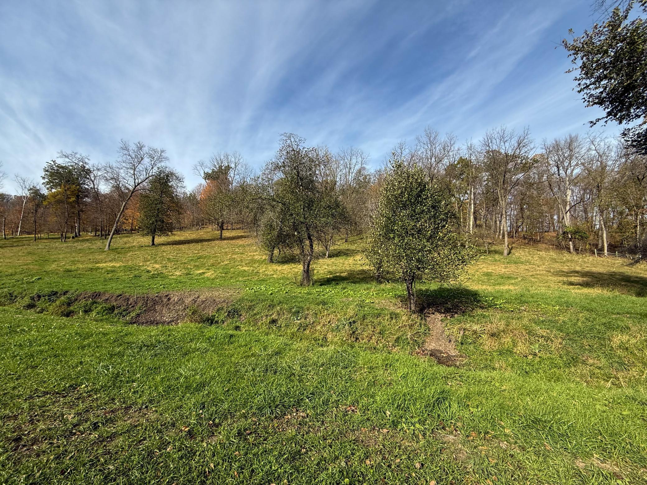 main property photo 67