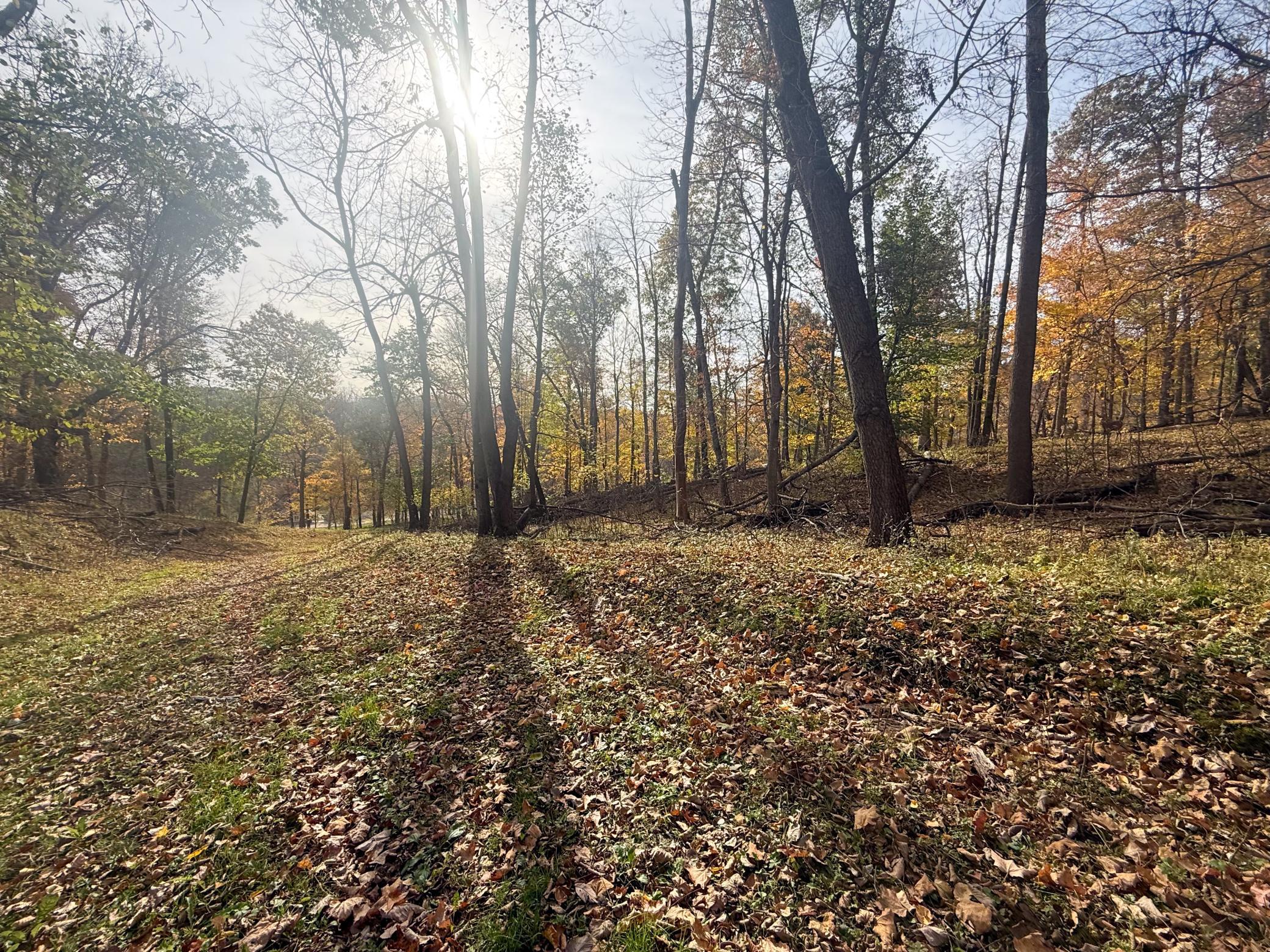 main property photo 82