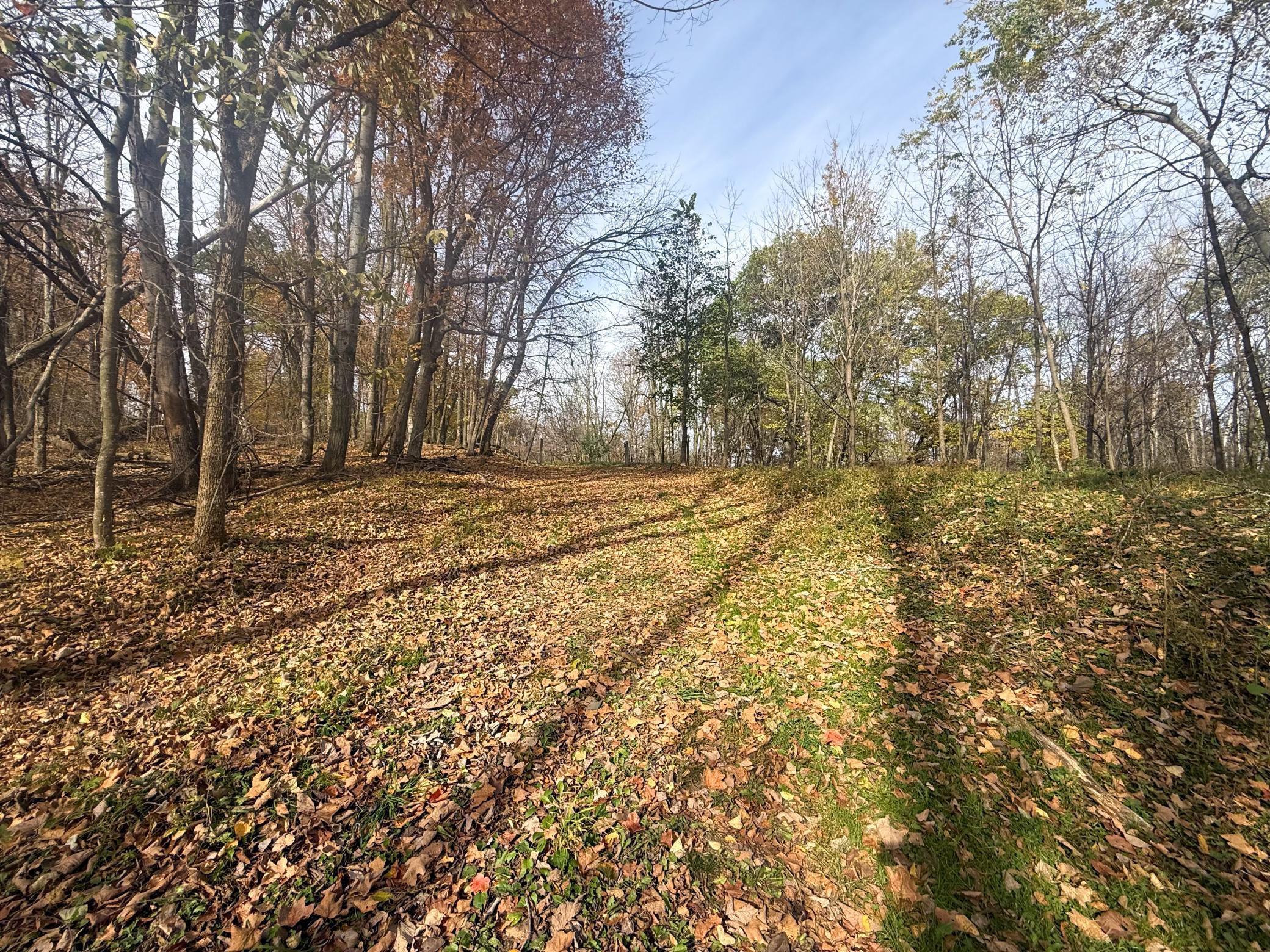 main property photo 84