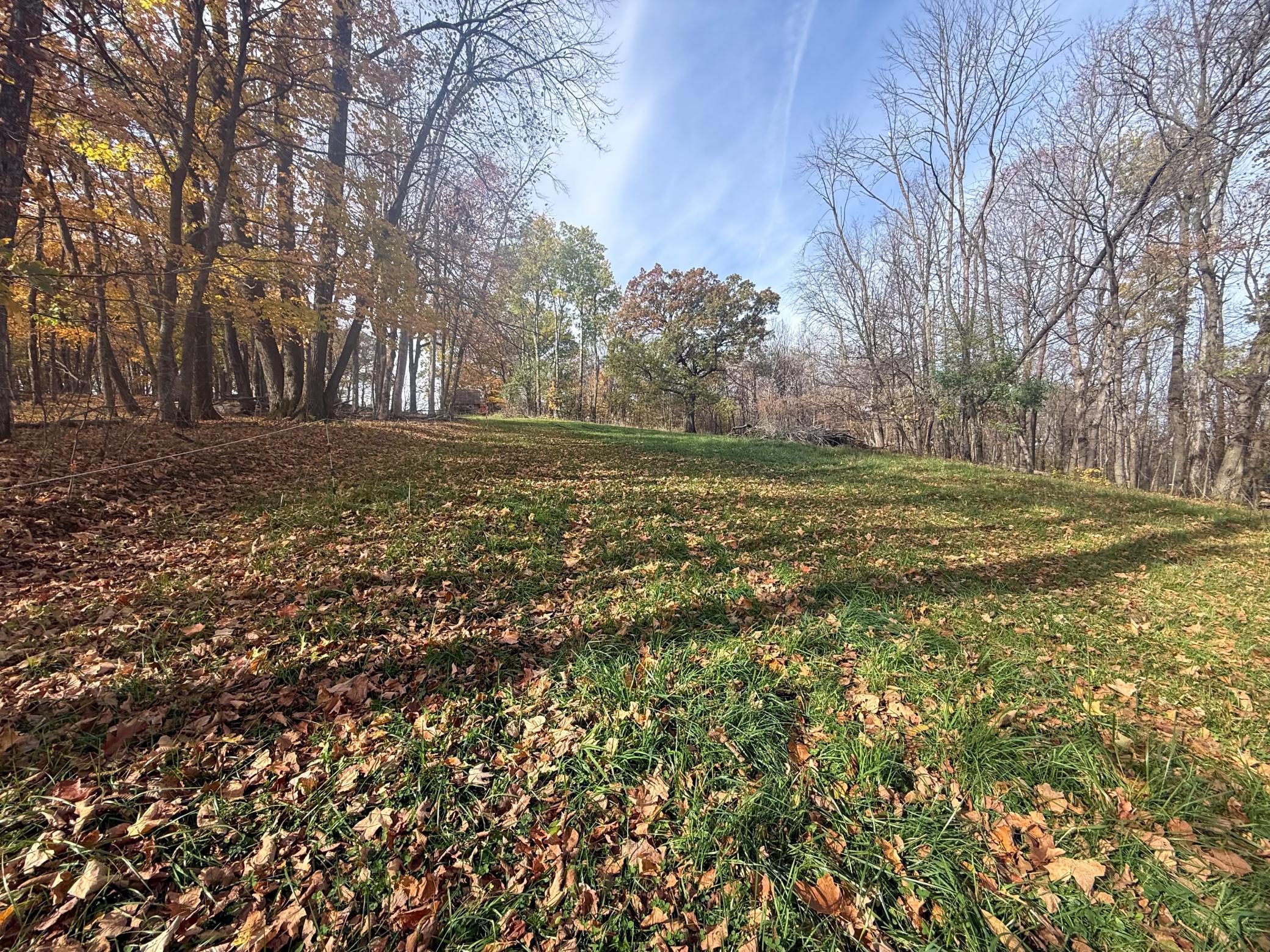 main property photo 85