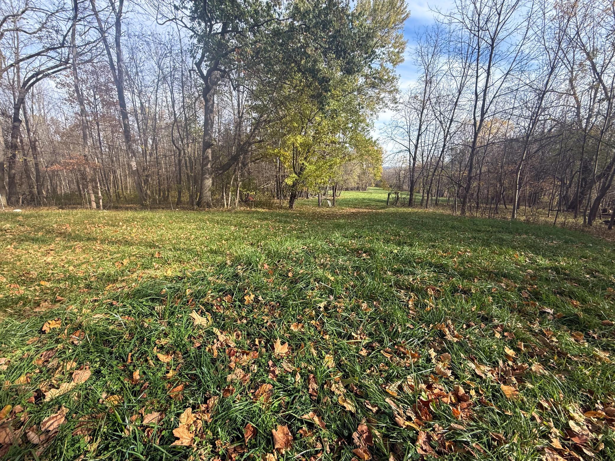 main property photo 86