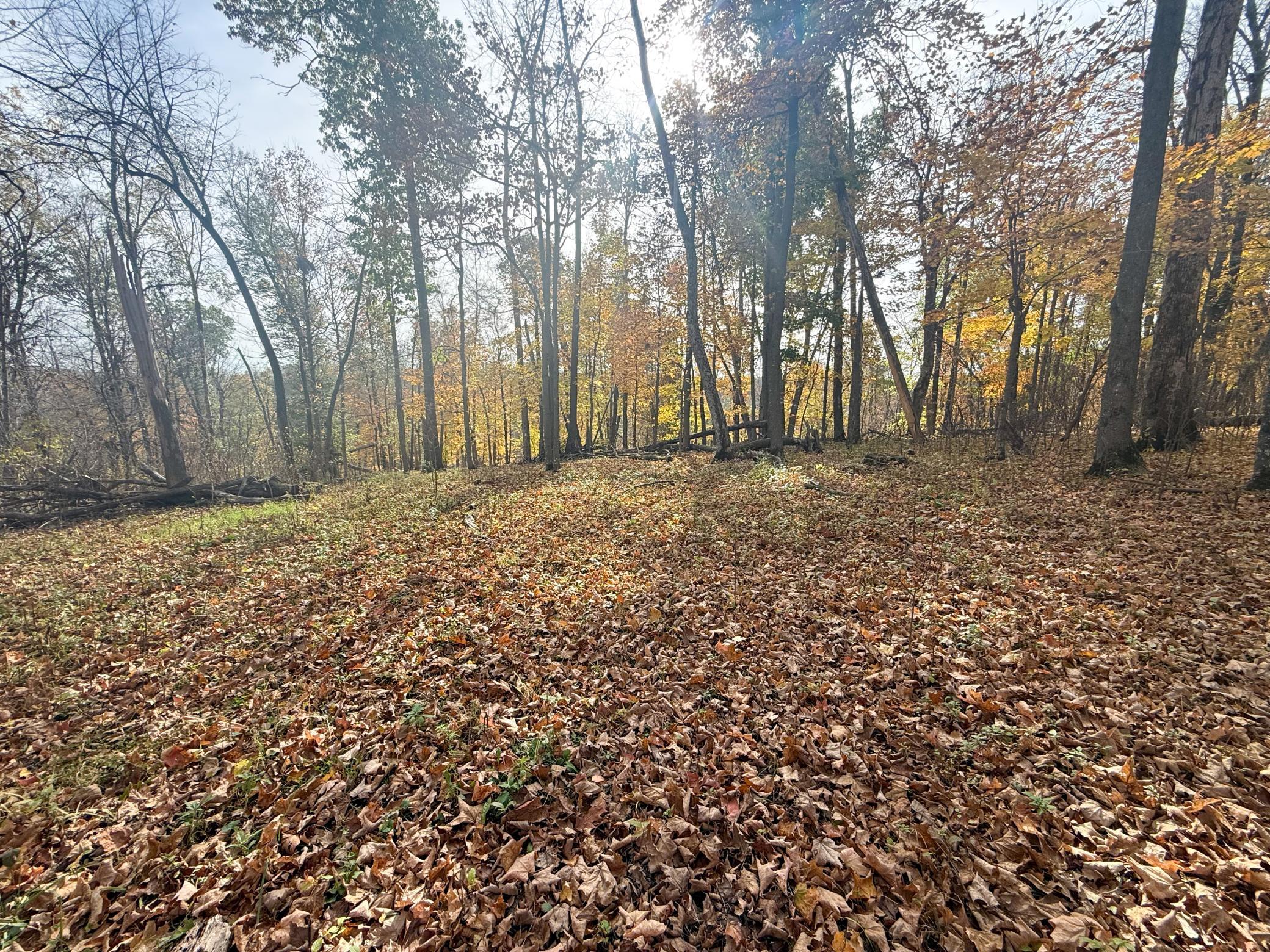 main property photo 87