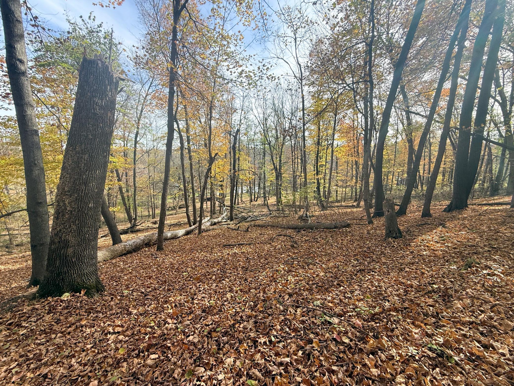 main property photo 90