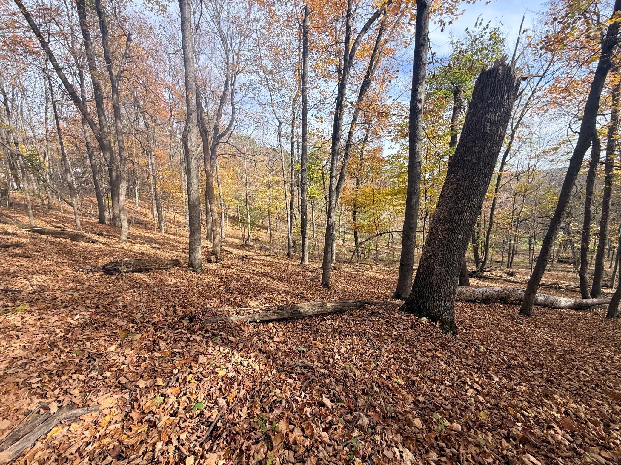 main property photo 91