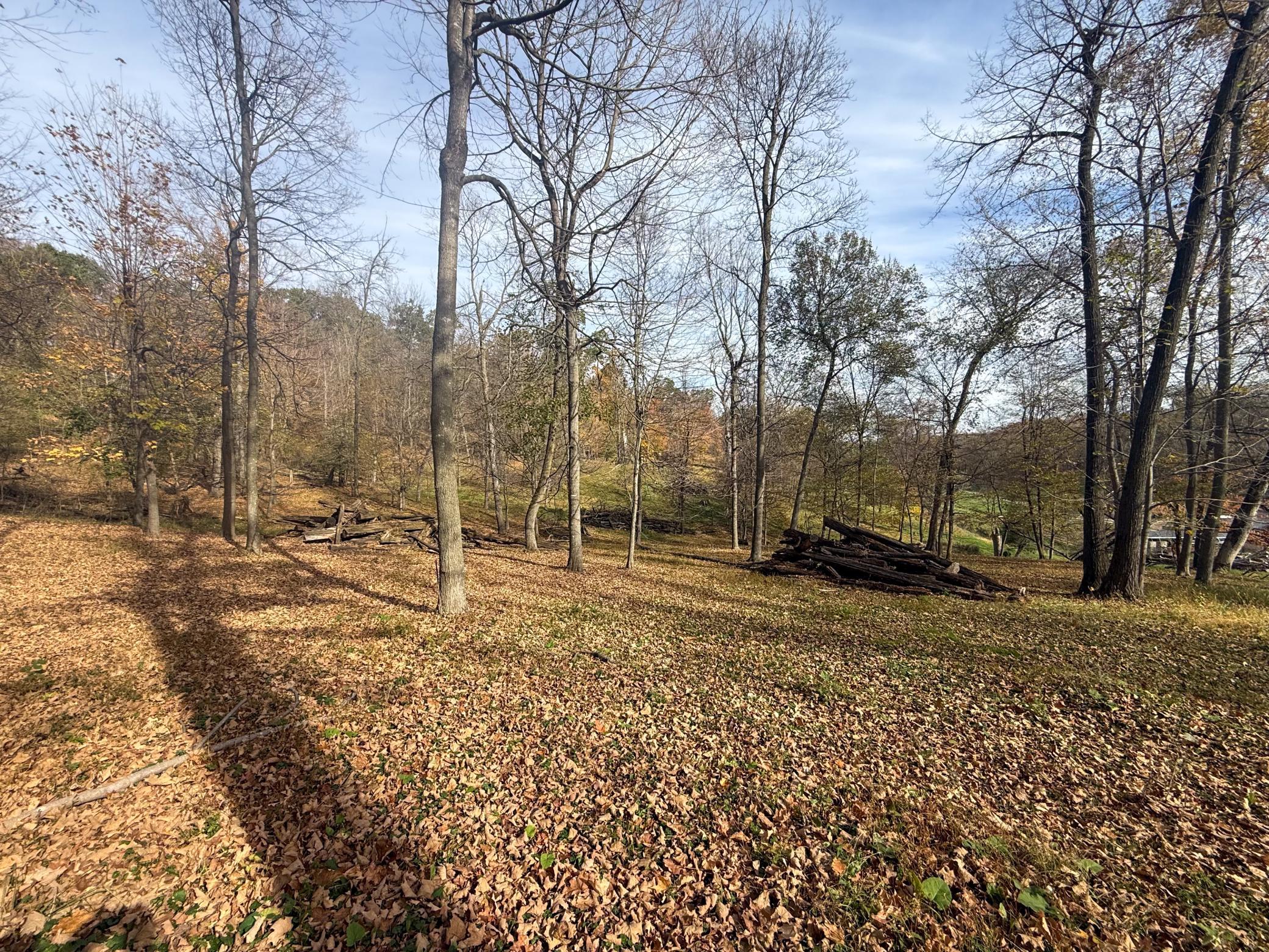 main property photo 92
