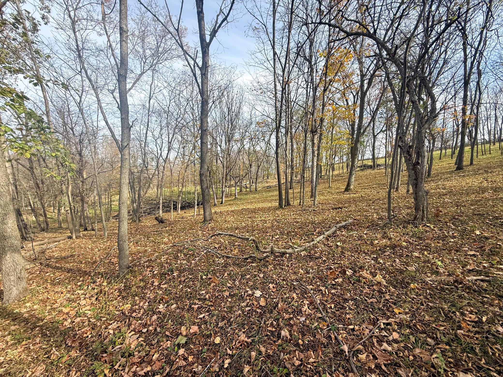 main property photo 93