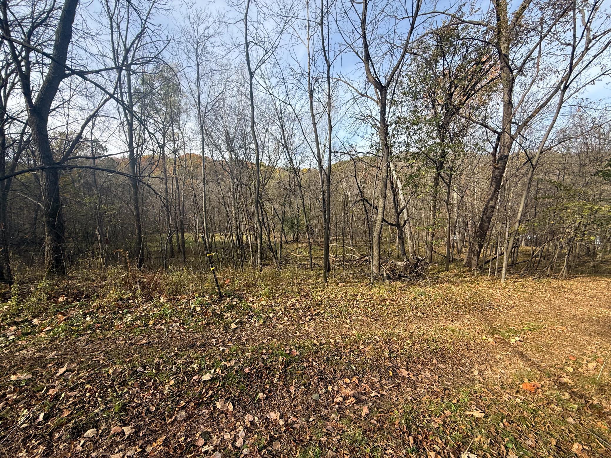 main property photo 94