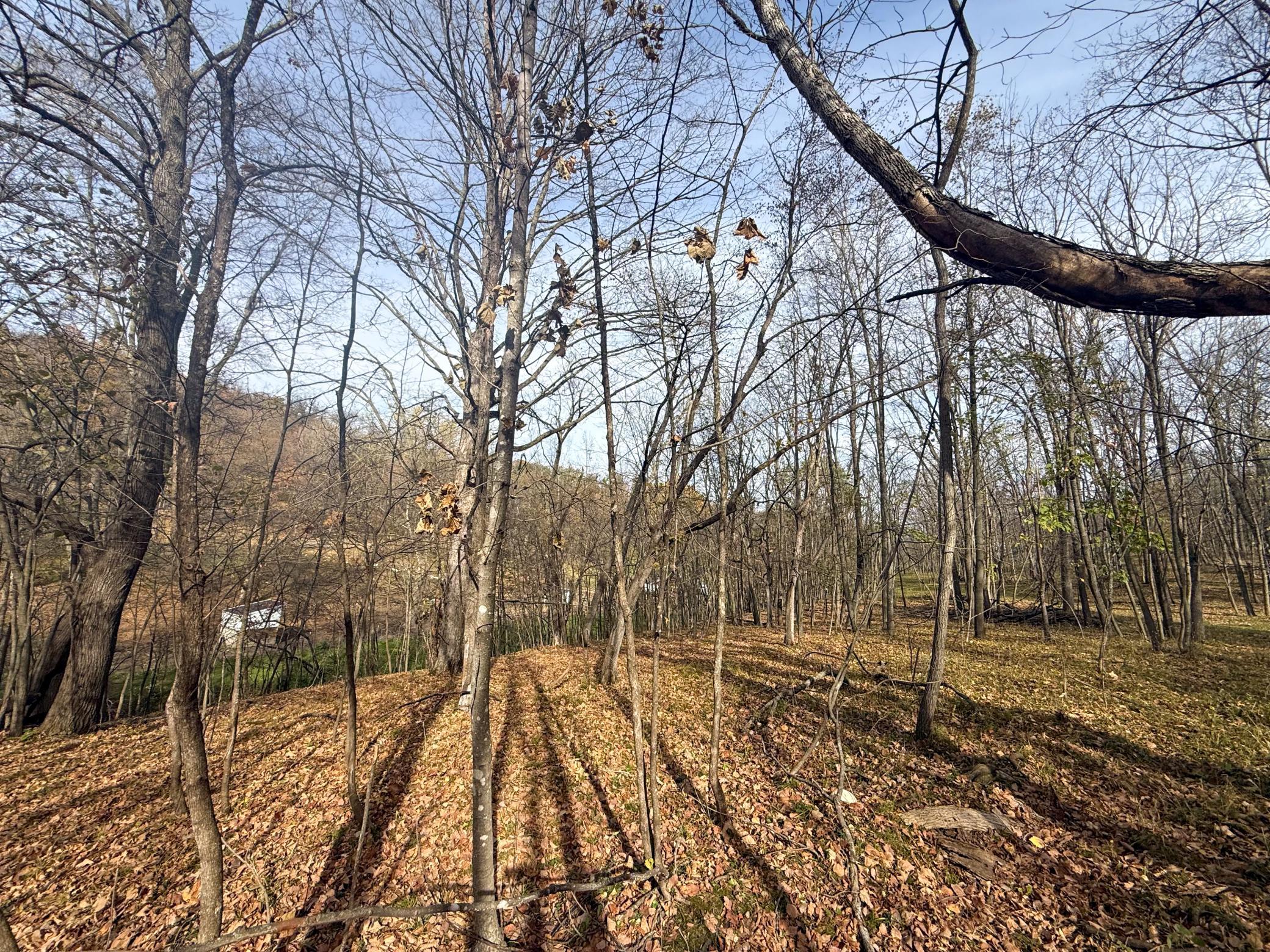 main property photo 95