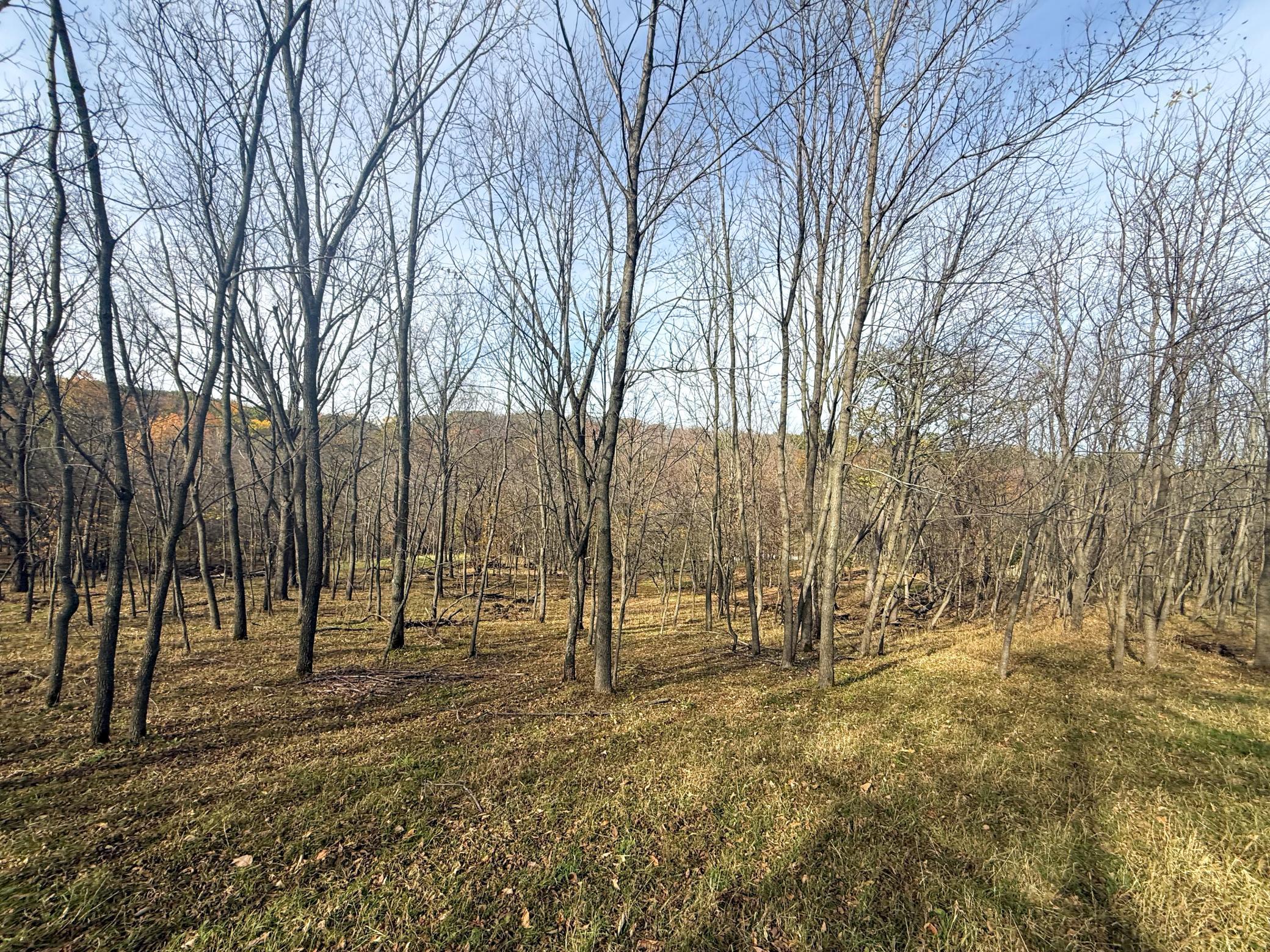 main property photo 96