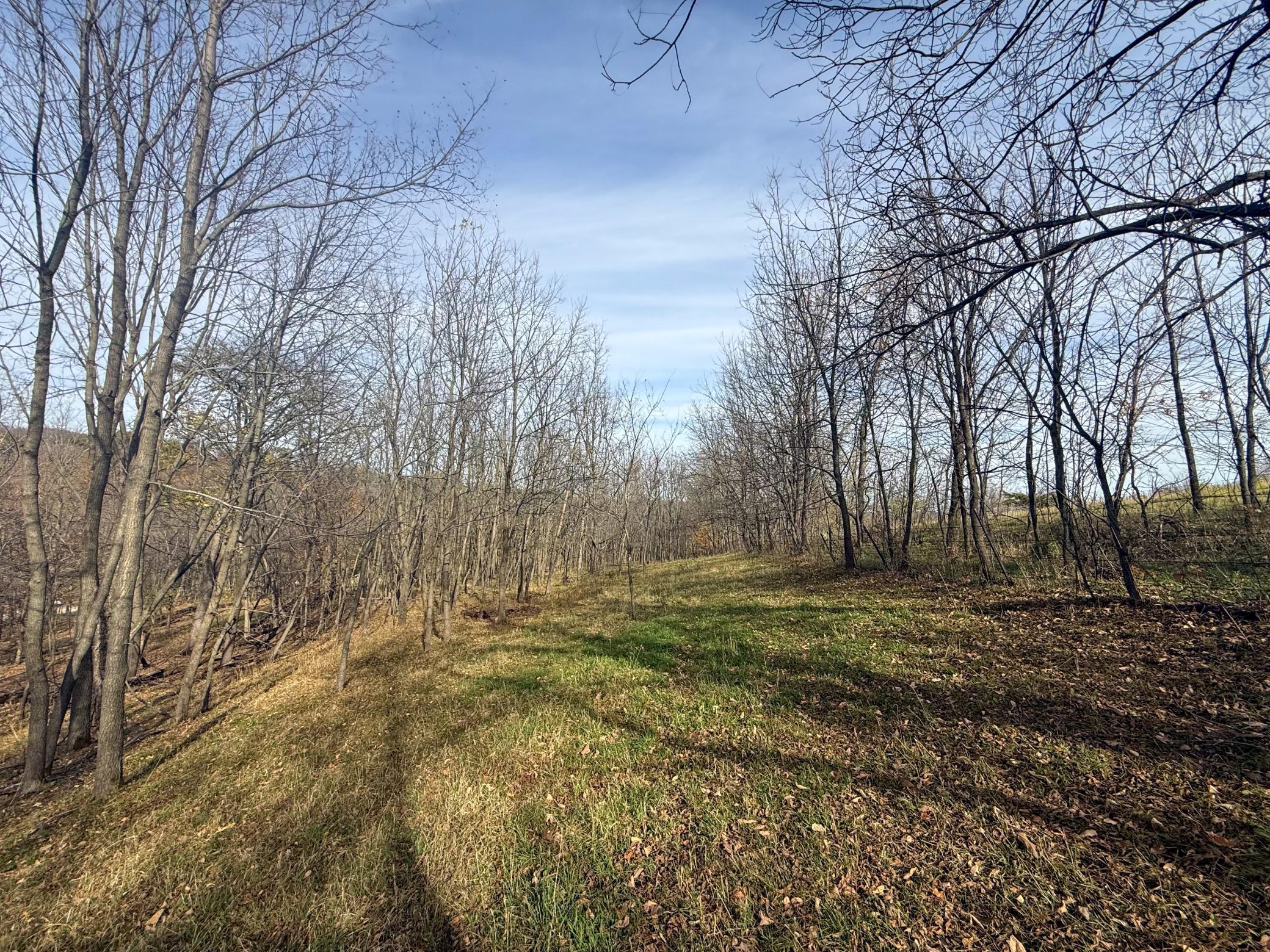main property photo 97