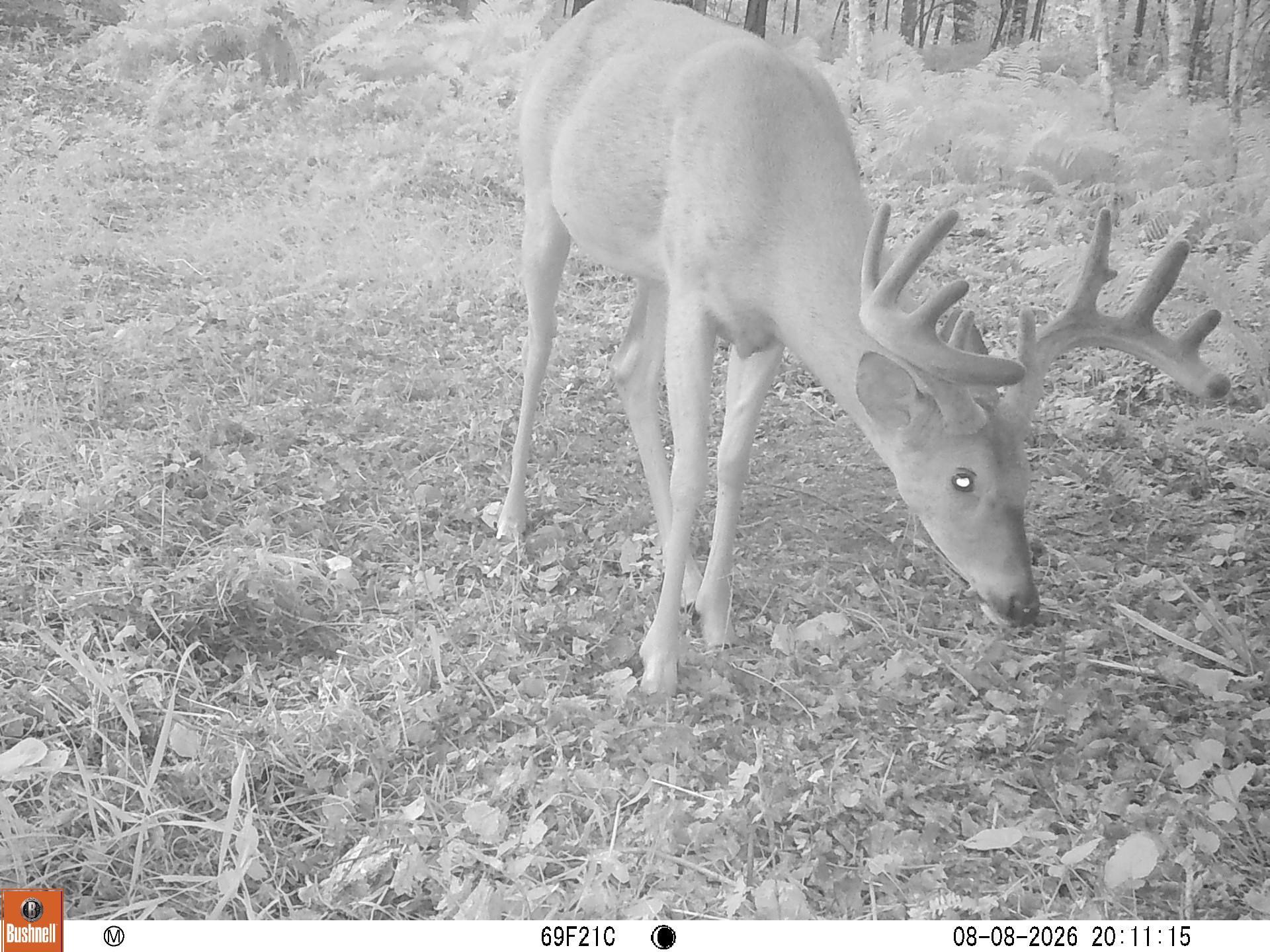 main property photo 29