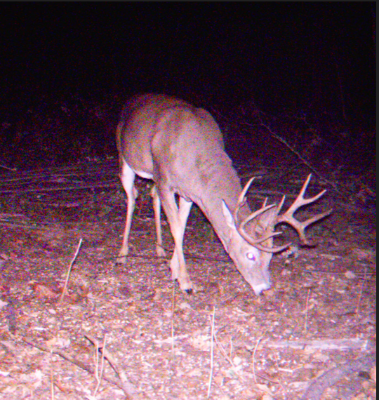 main property photo 39
