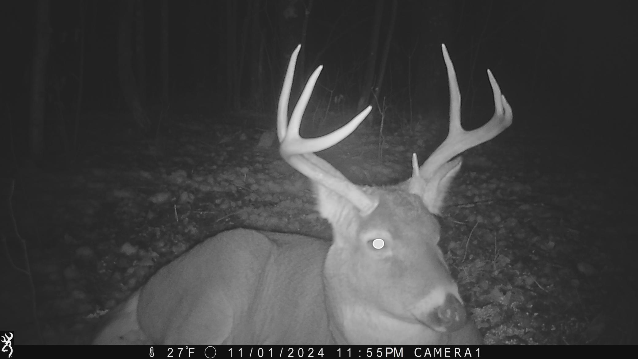 main property photo 42