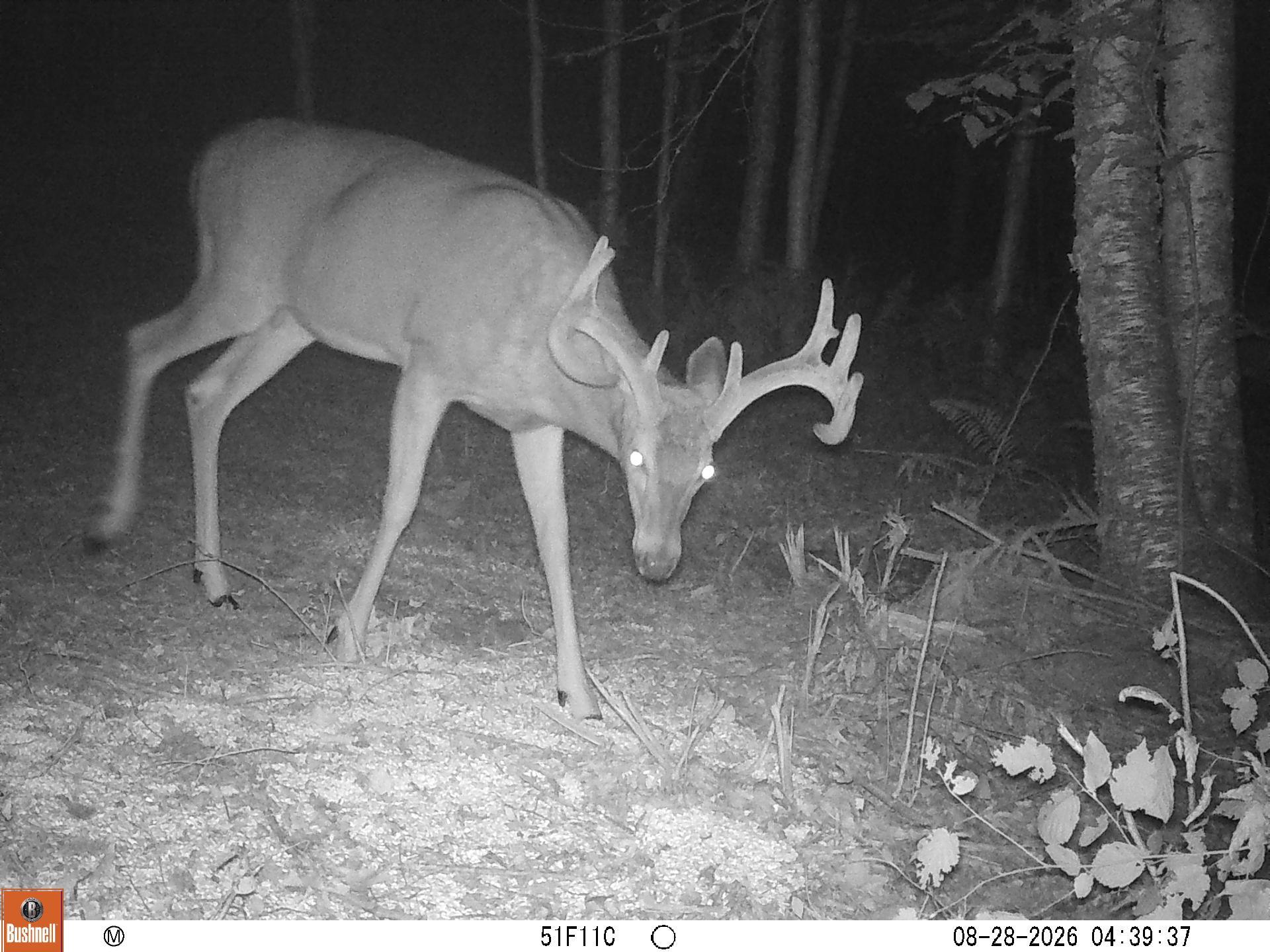 main property photo 50