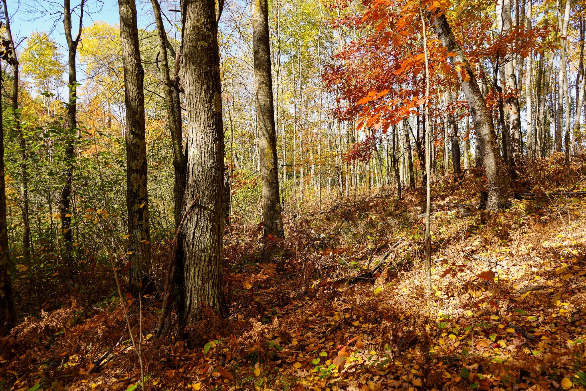 main property photo 52