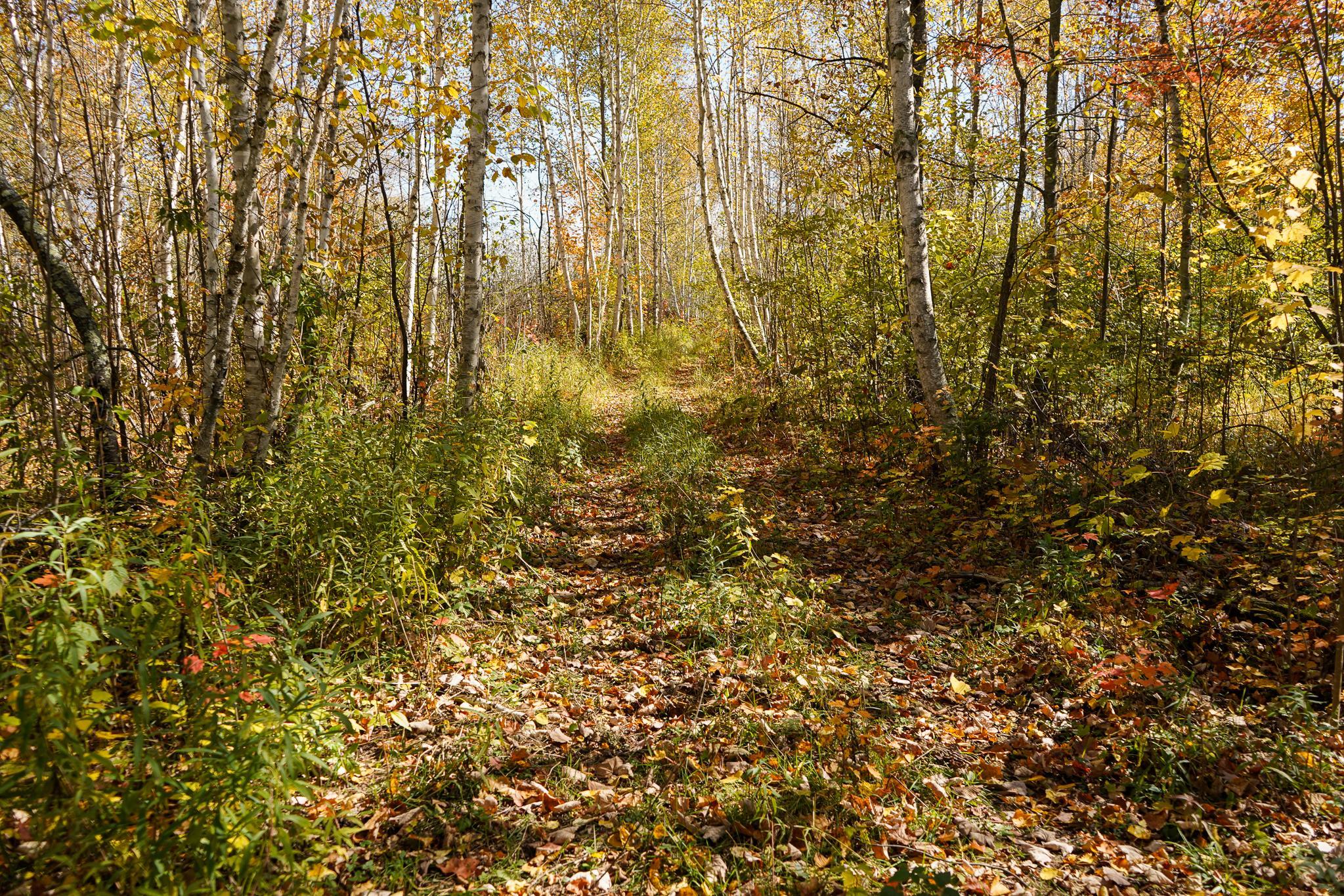 main property photo 53