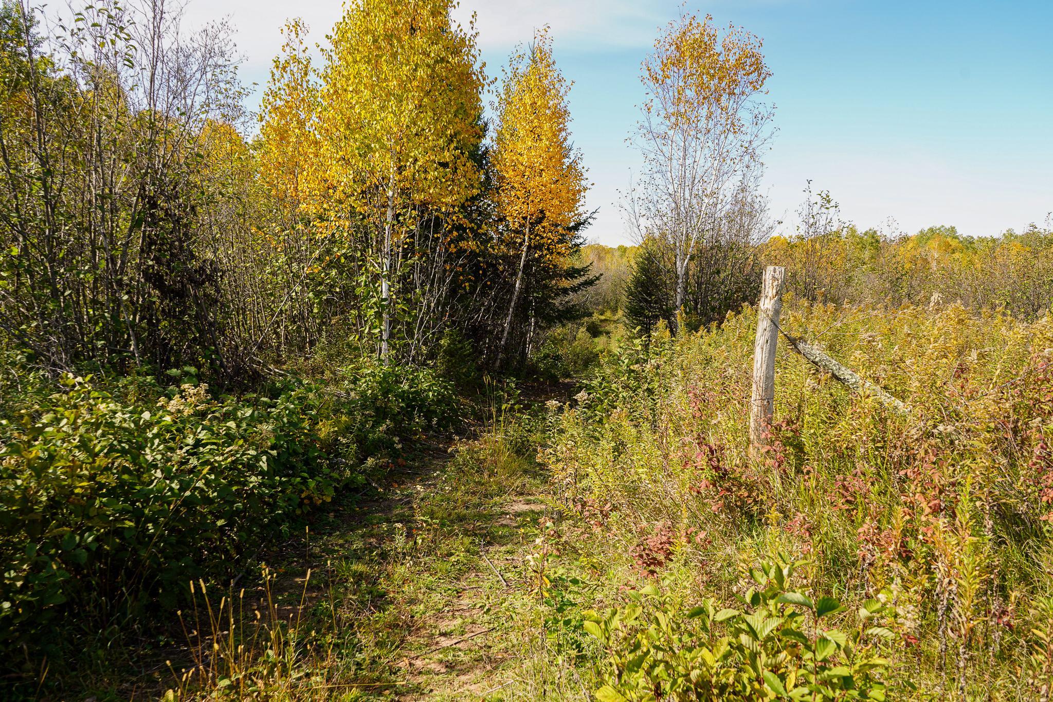 main property photo 56