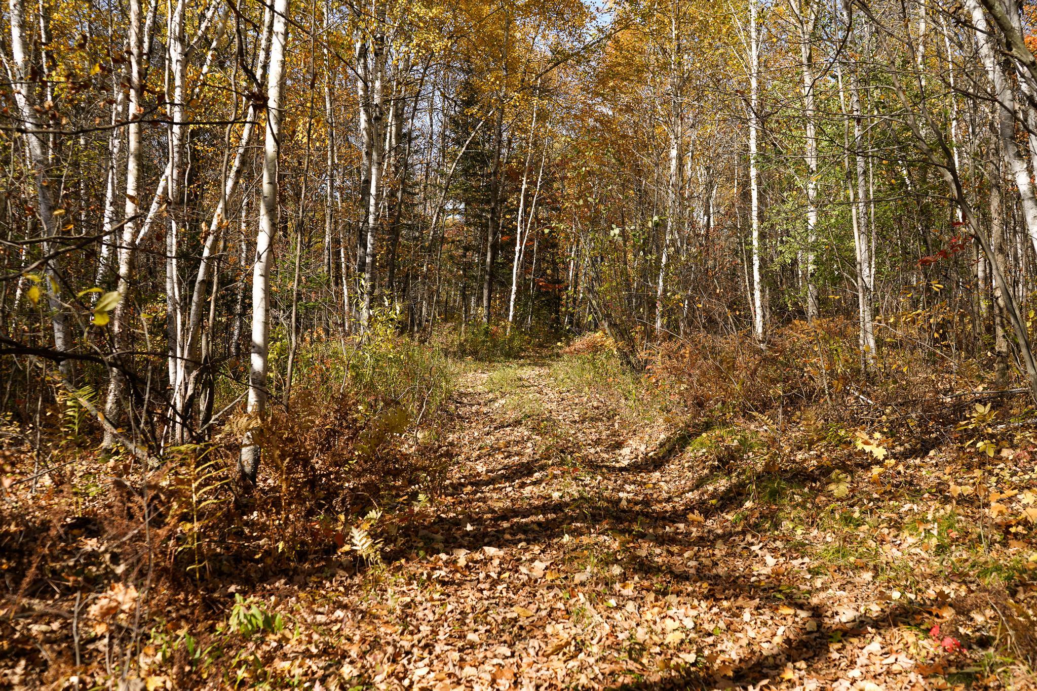 main property photo 57