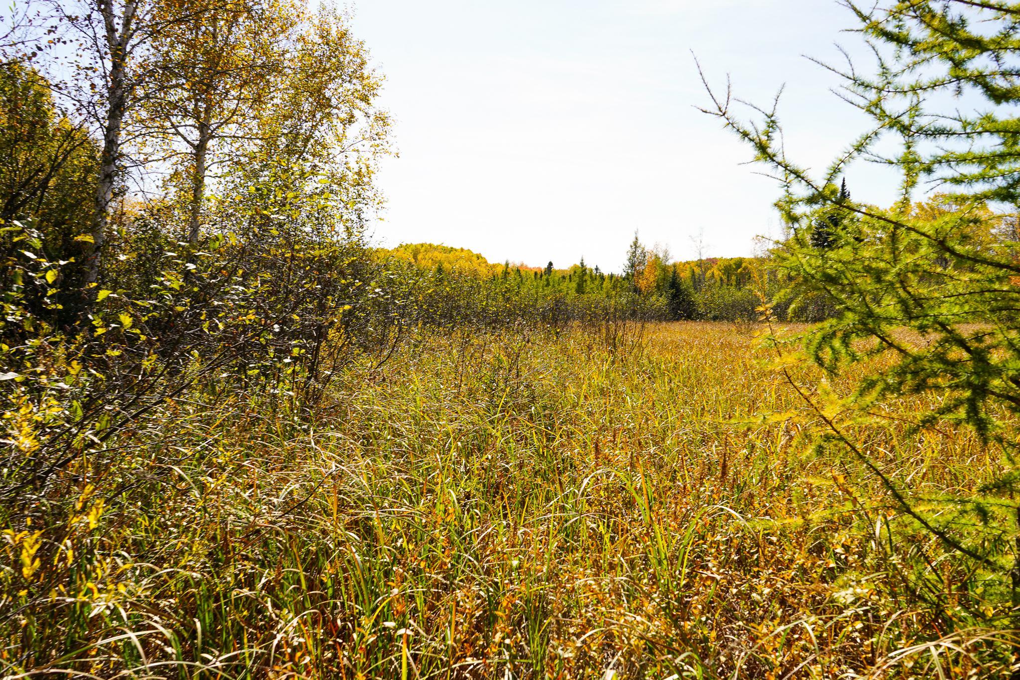 main property photo 60