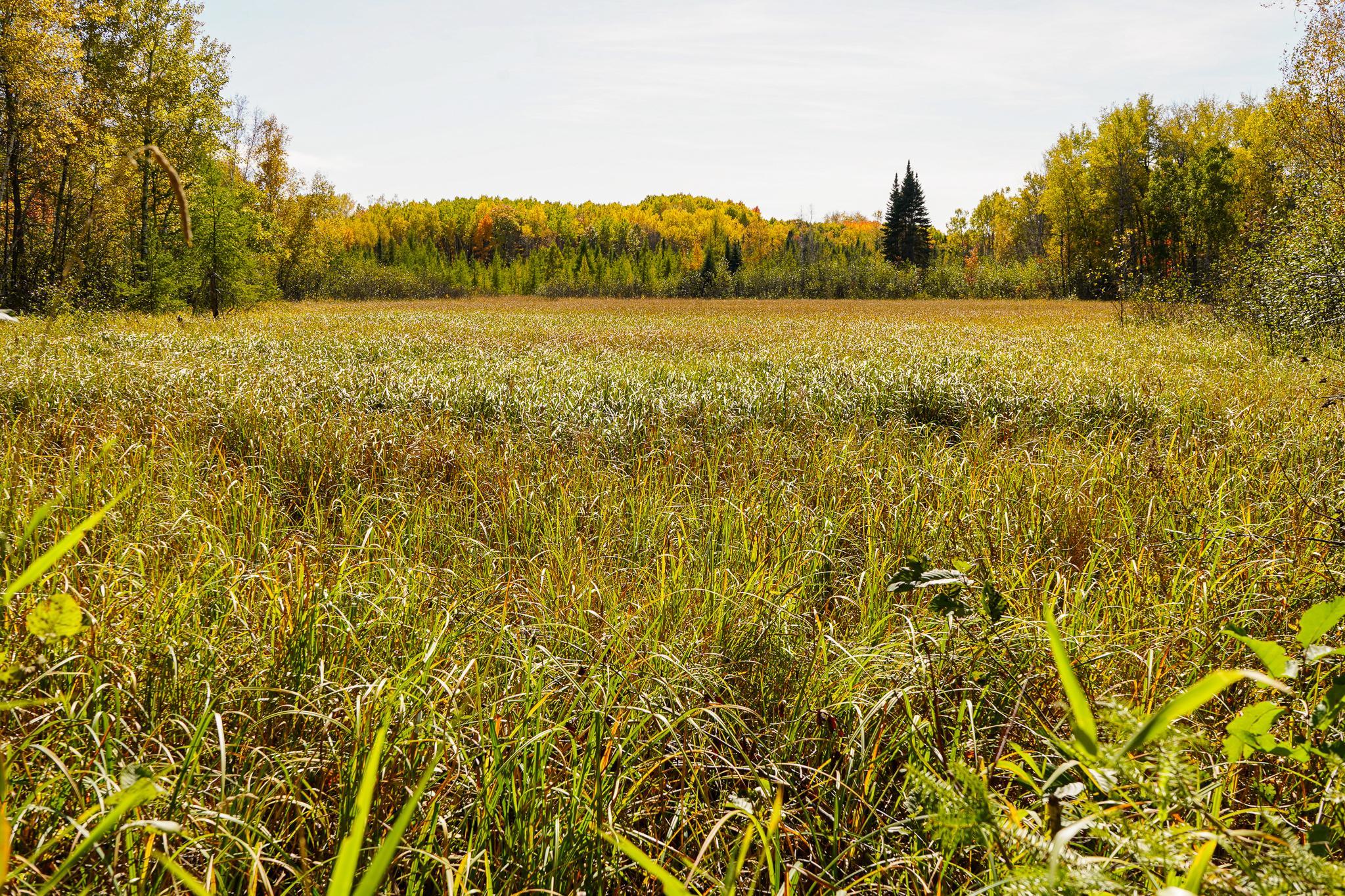 main property photo 61