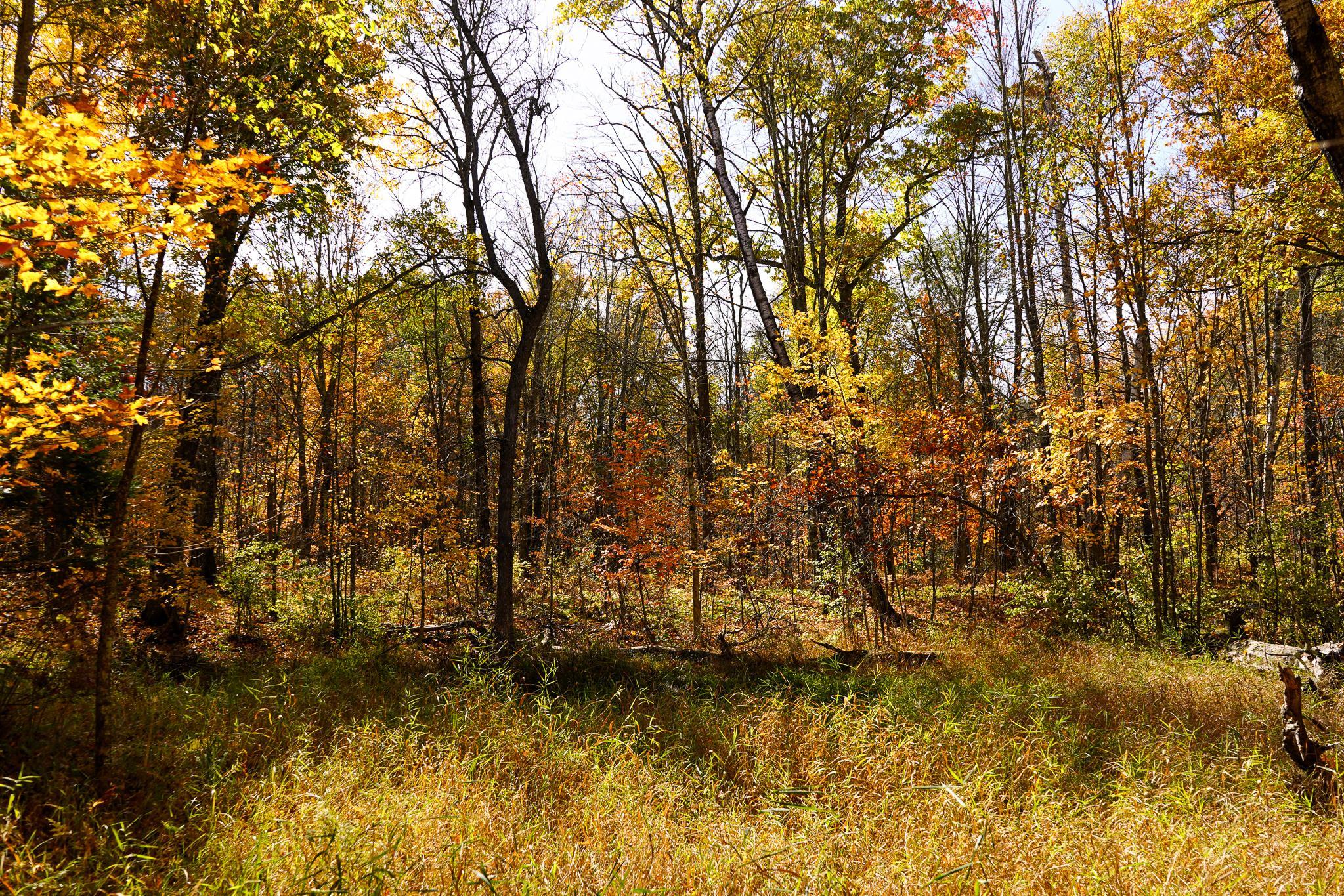 main property photo 62