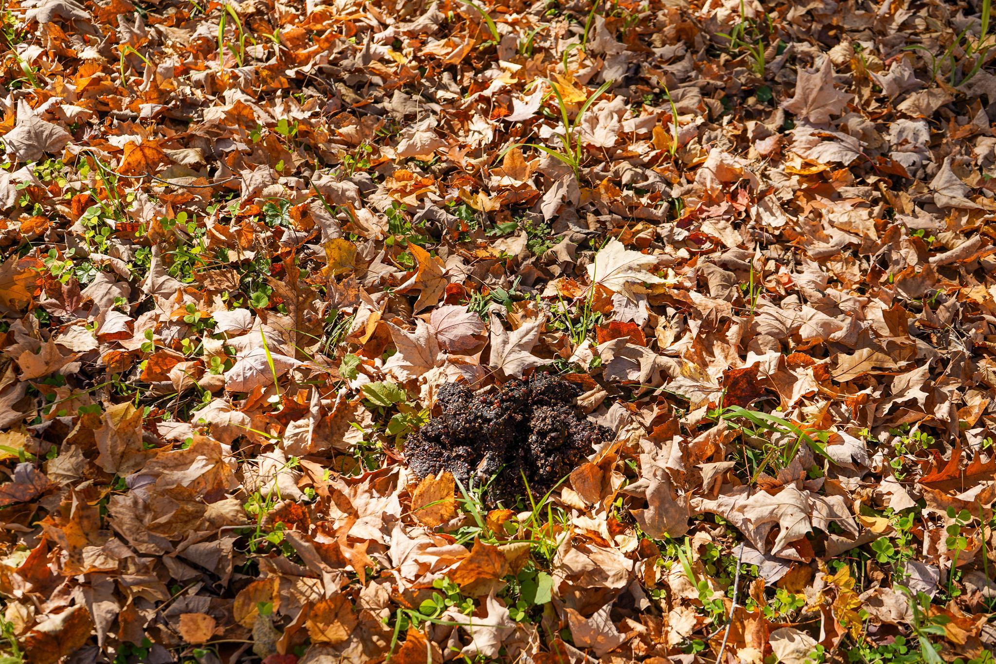 main property photo 63