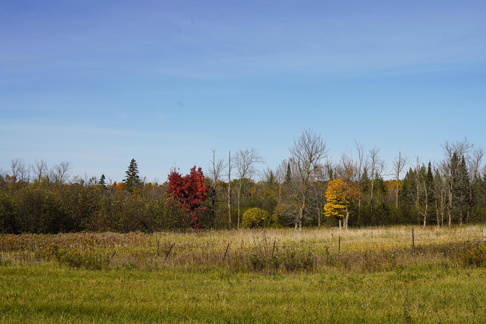 main property photo 65