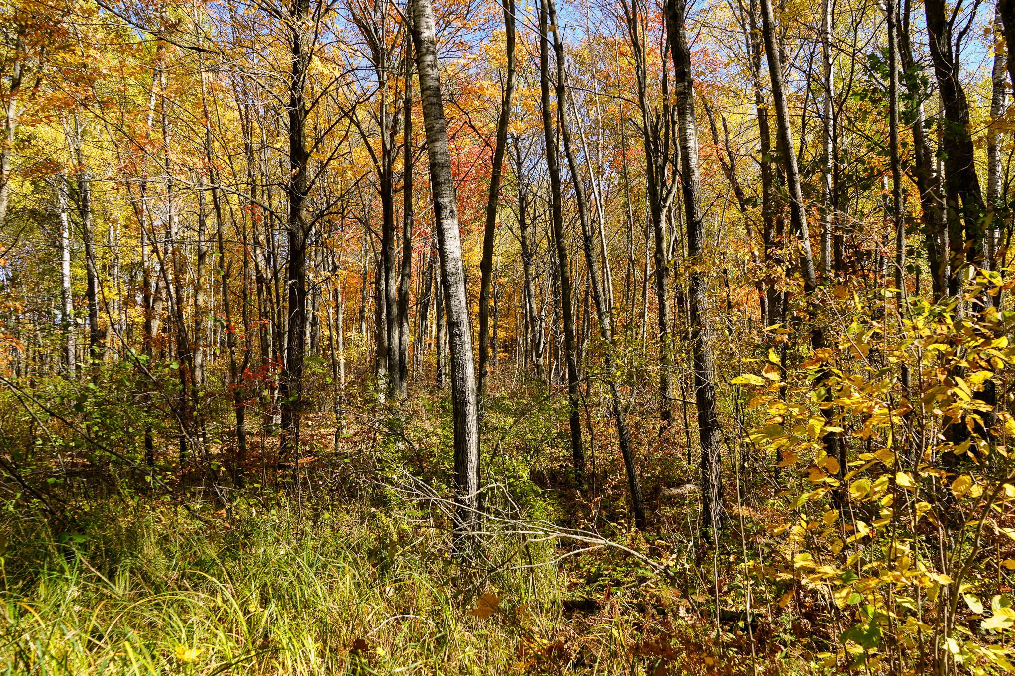 main property photo 68