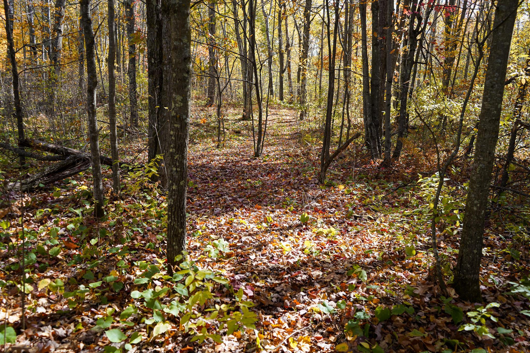 main property photo 69