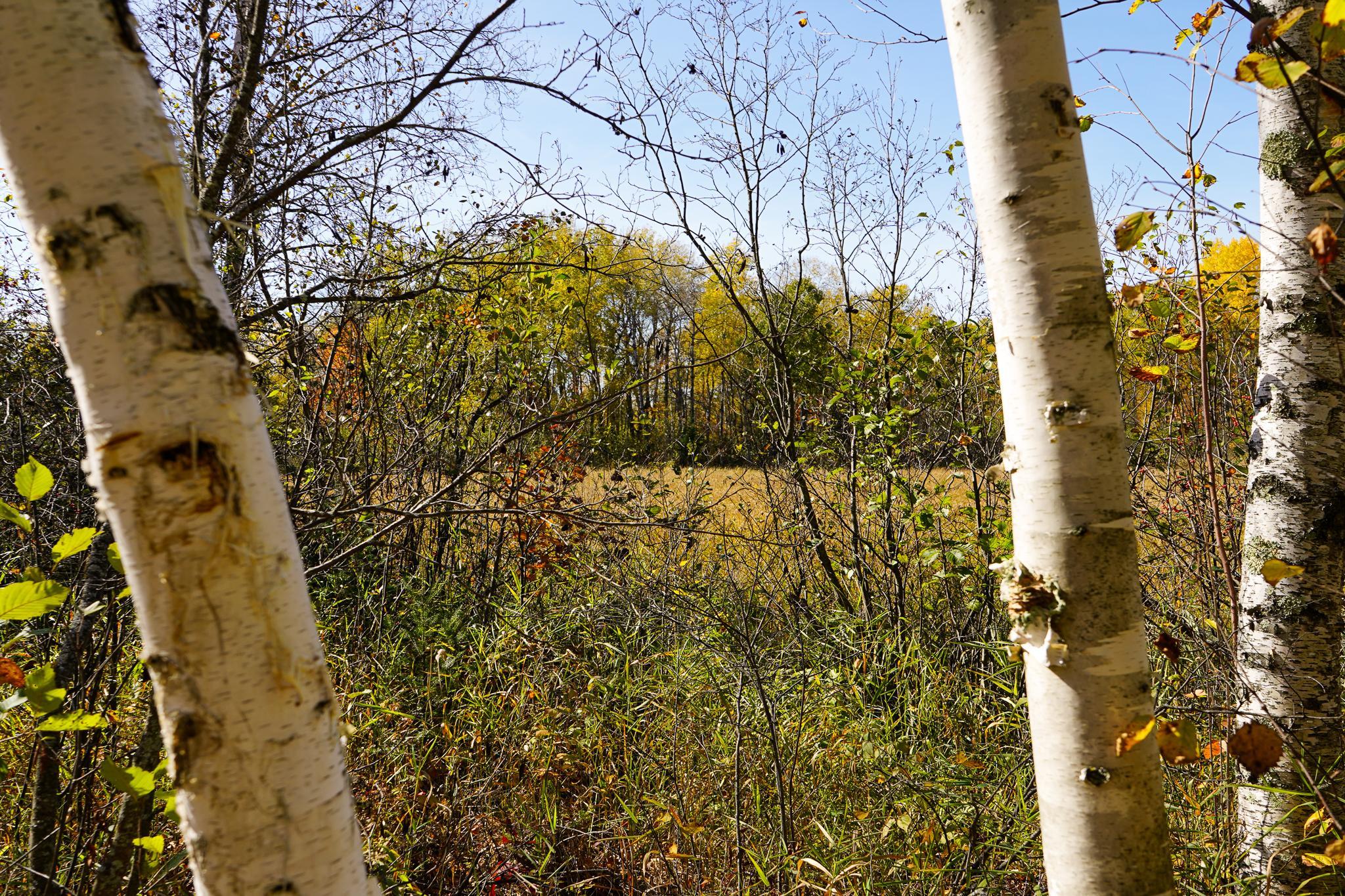 main property photo 73