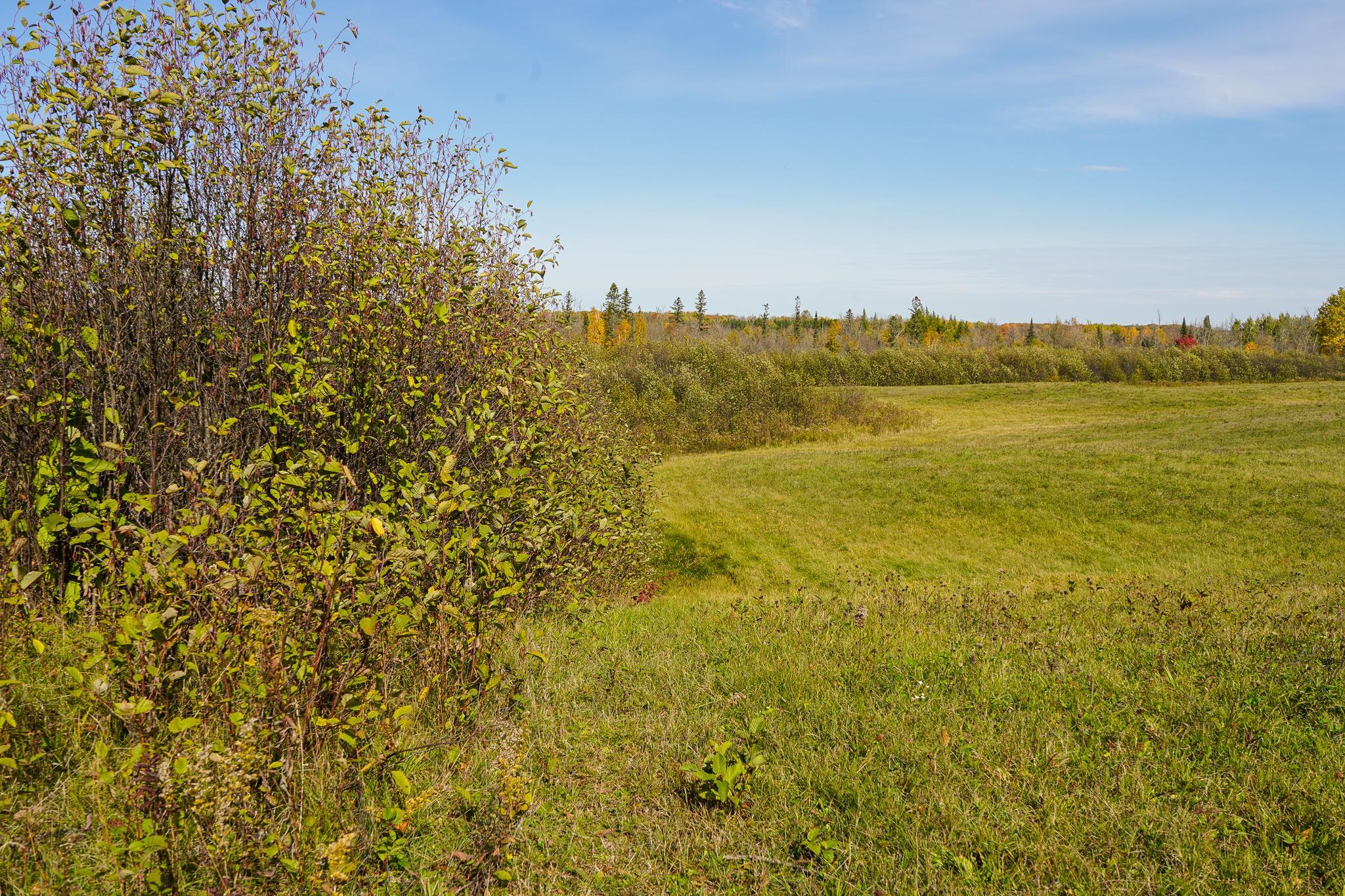 main property photo 74