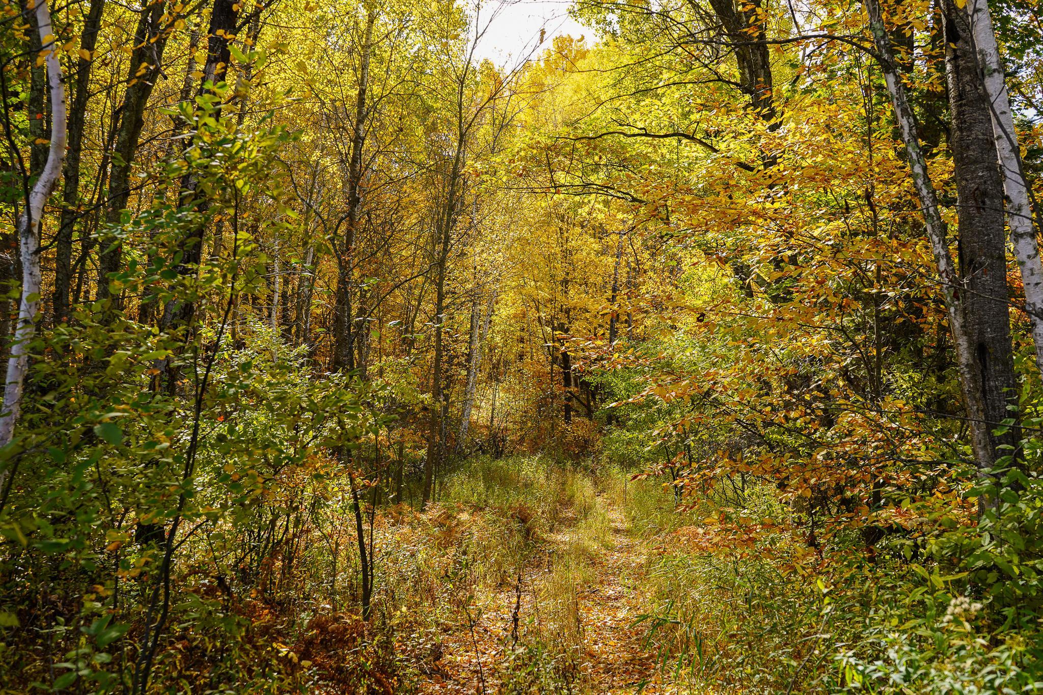main property photo 75