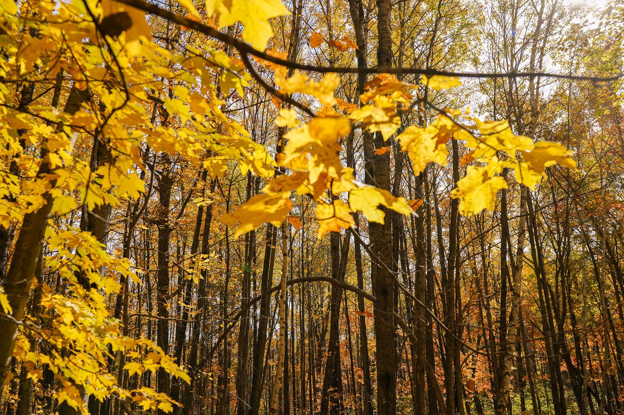 main property photo 76