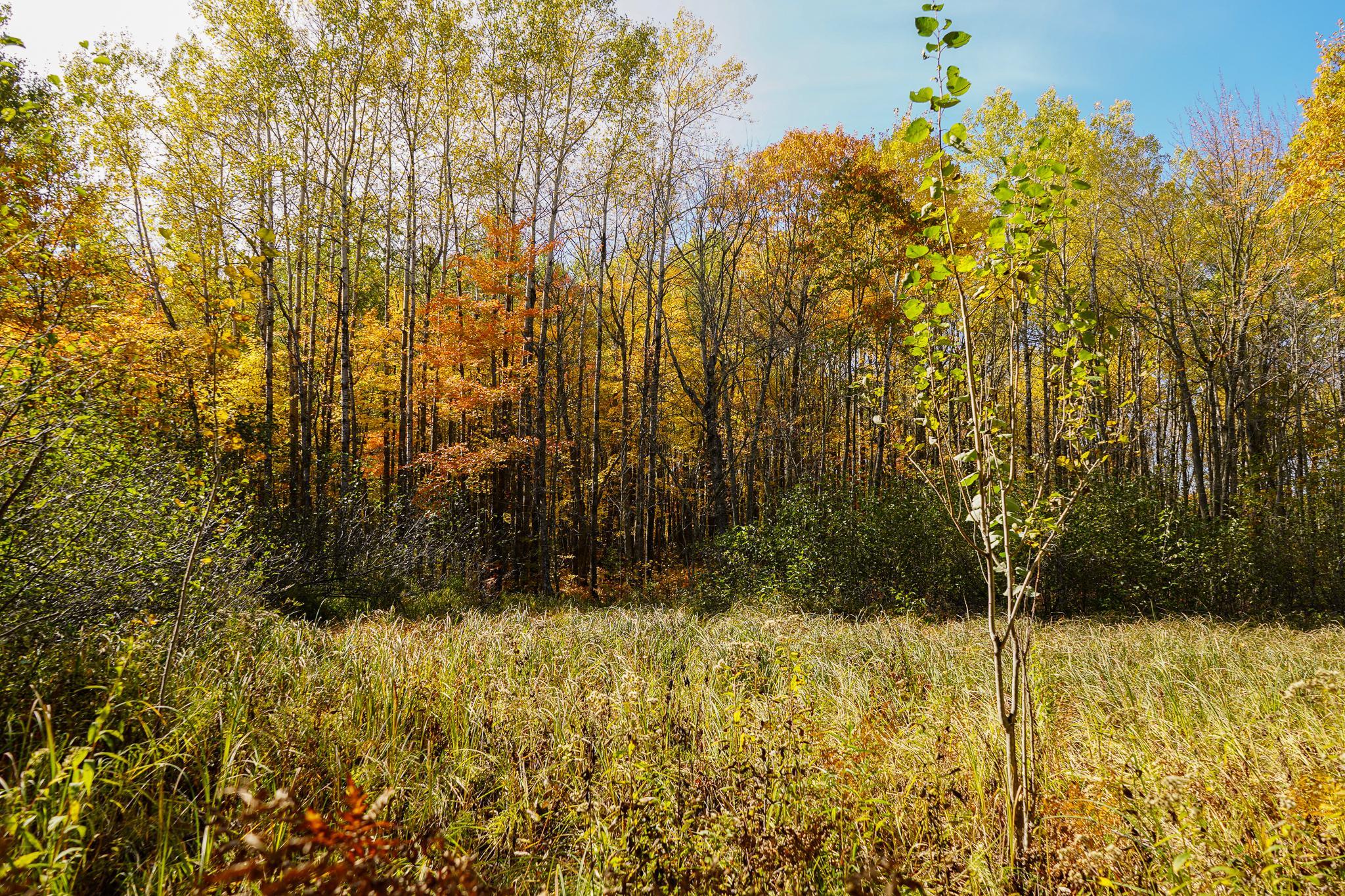 main property photo 77