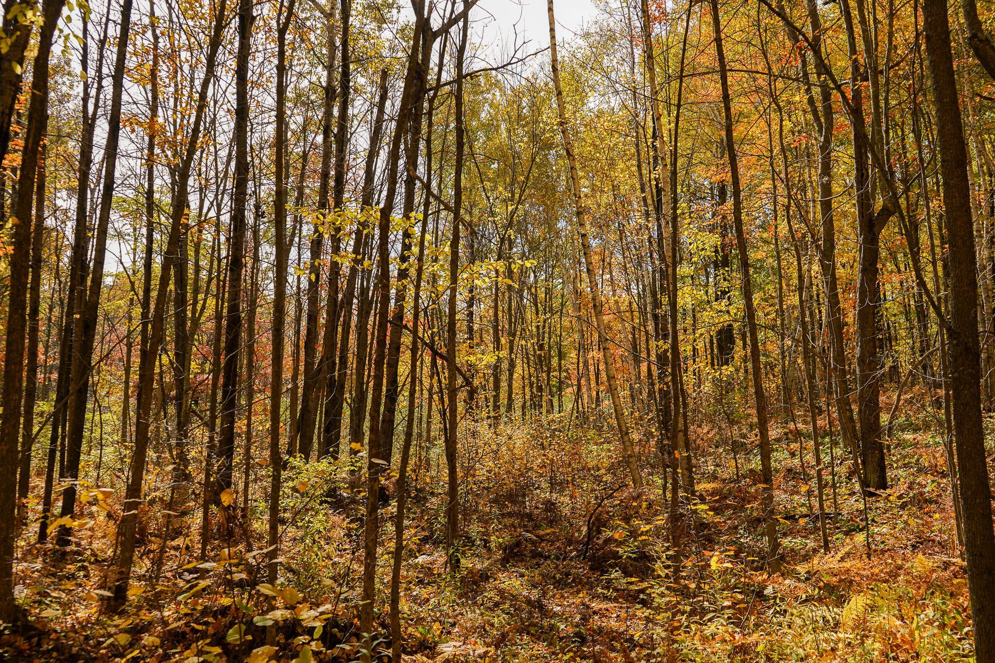 main property photo 78