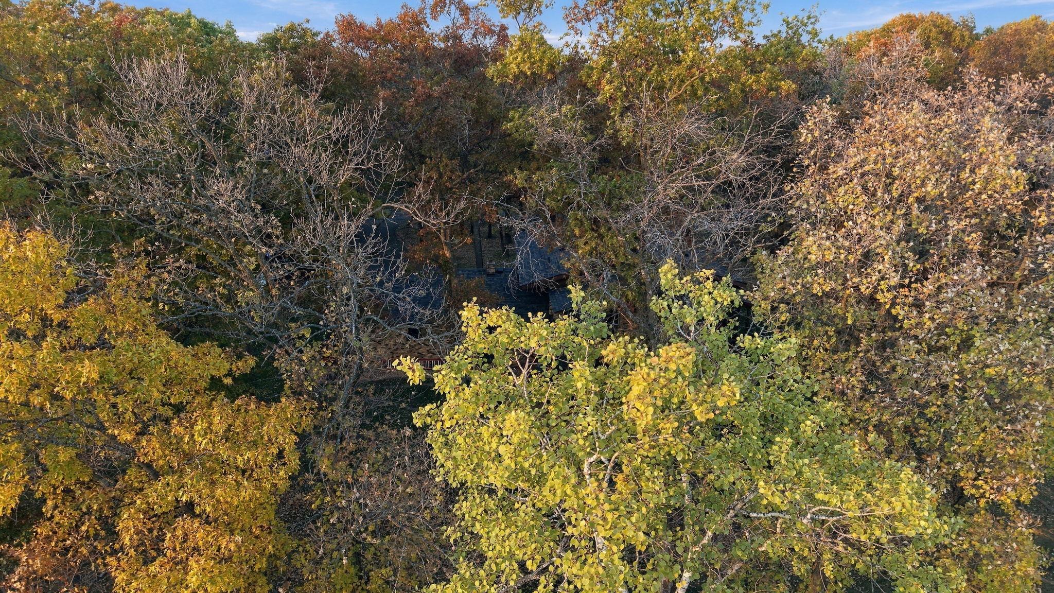 main property photo 64
