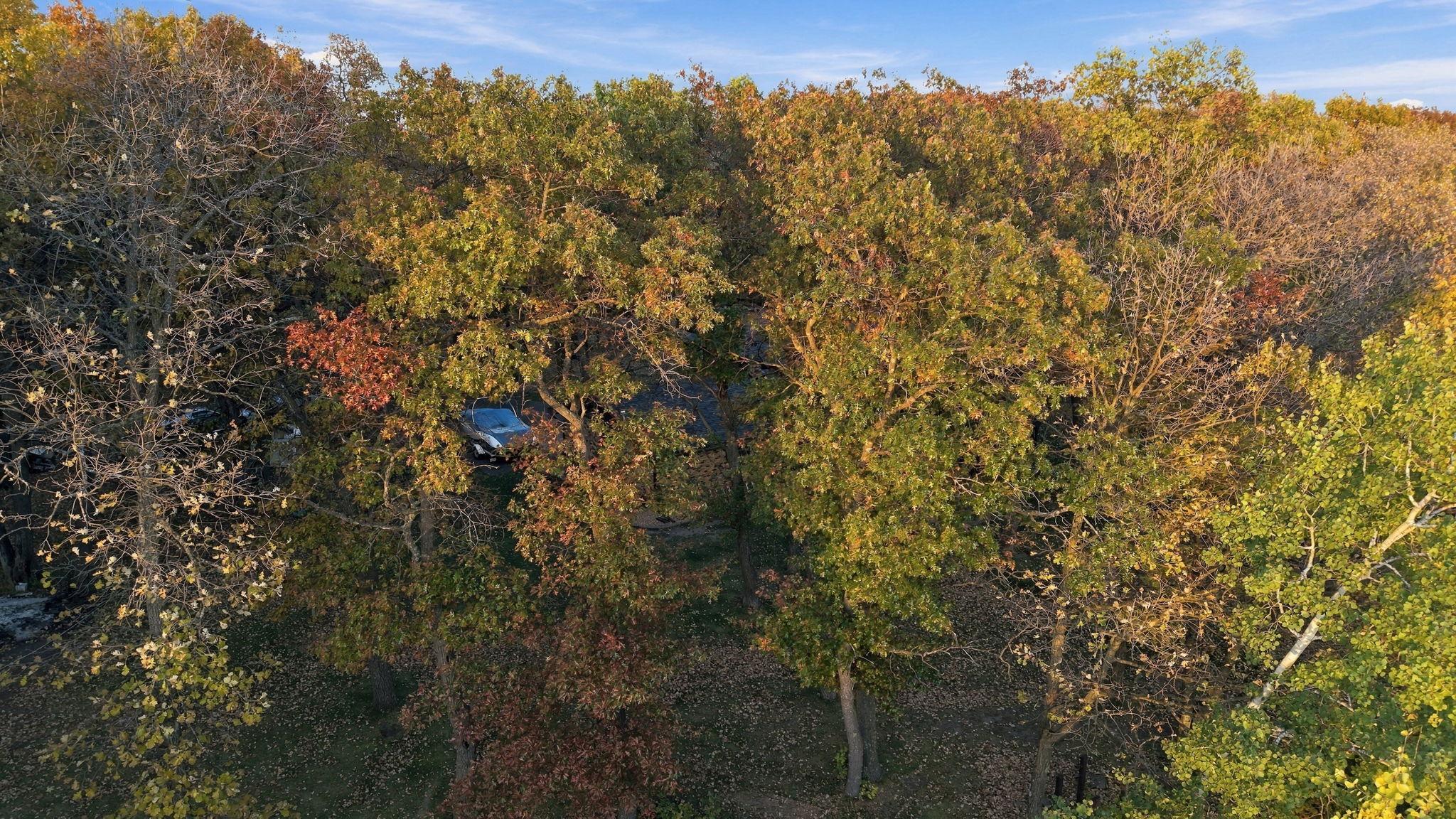 main property photo 65
