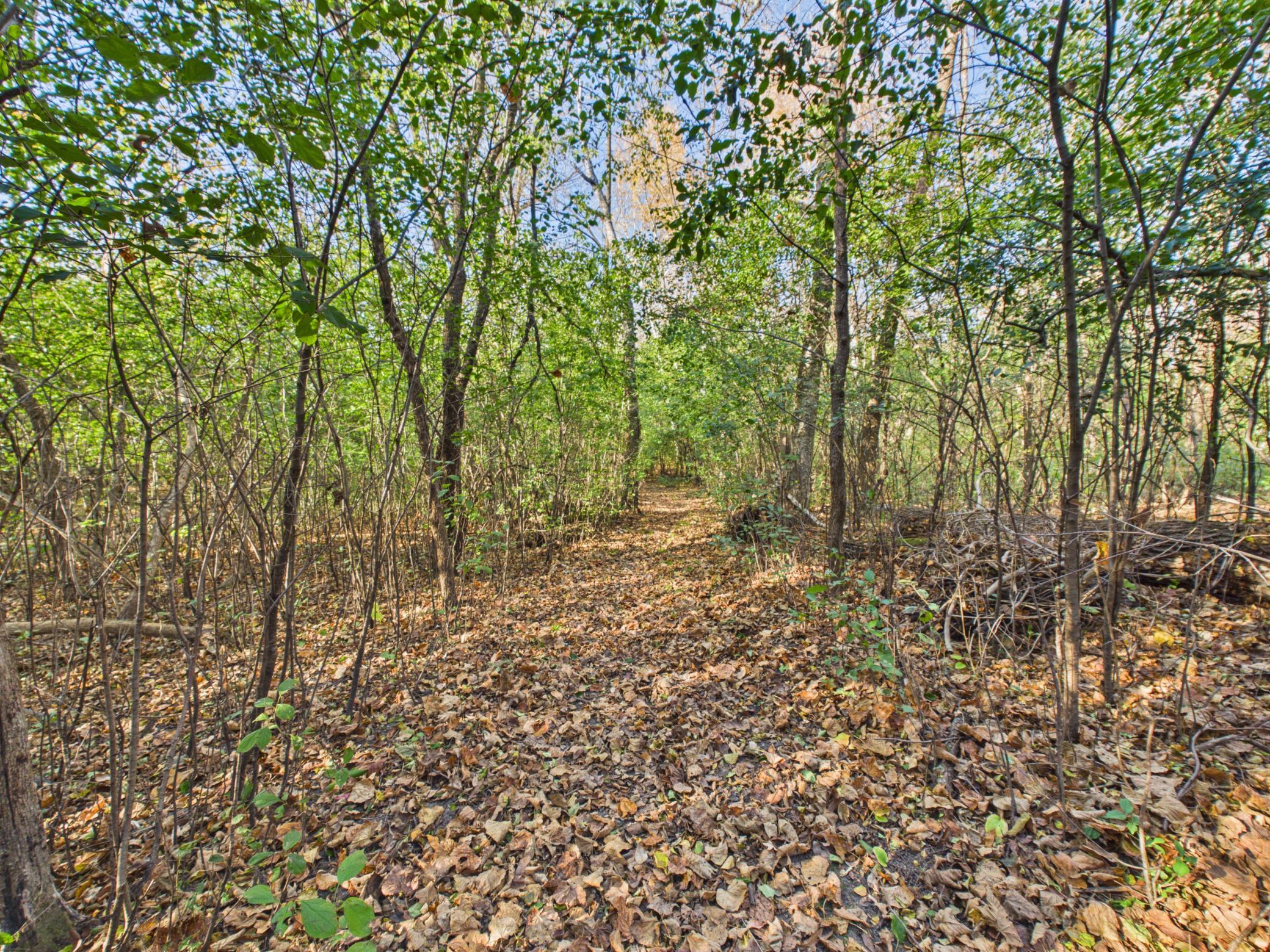 main property photo 107